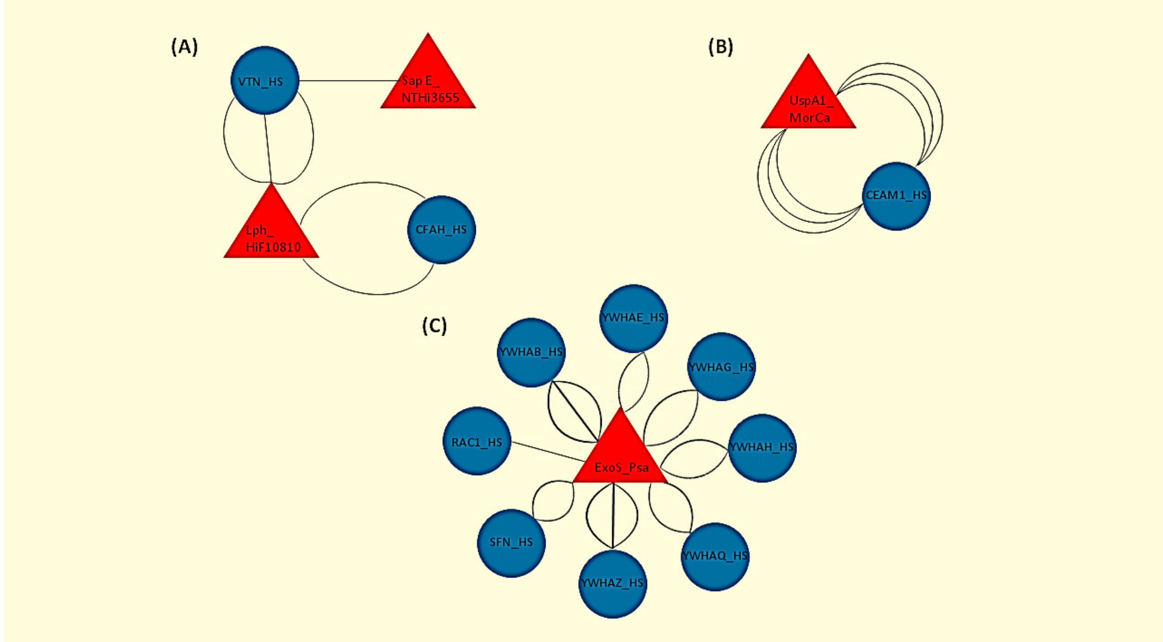 Pathophysiology 28 00003 g001 Pathophysiology 28 00003 g001