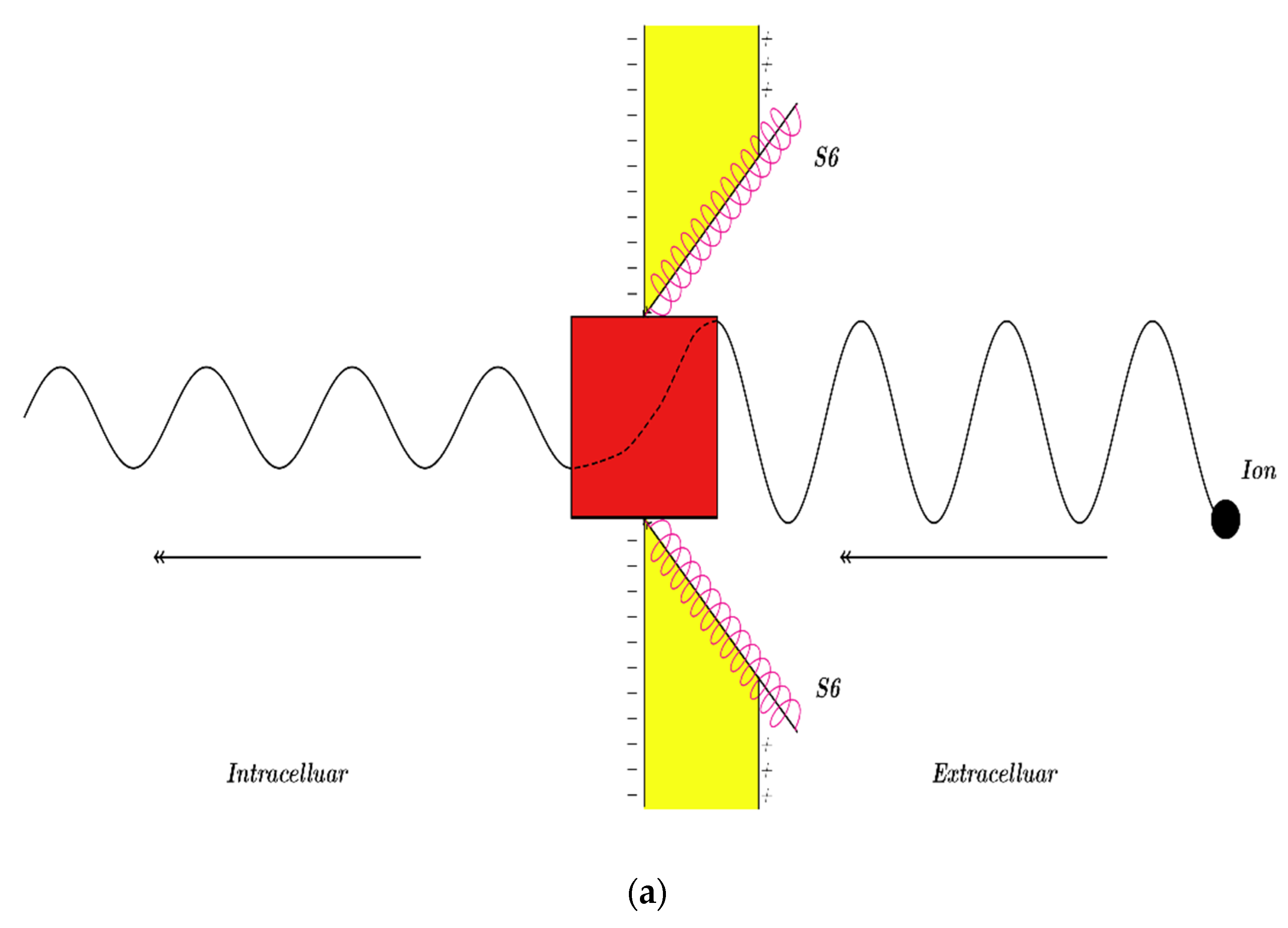 Pathophysiology 28 00010 g035a Pathophysiology 28 00010 g035a