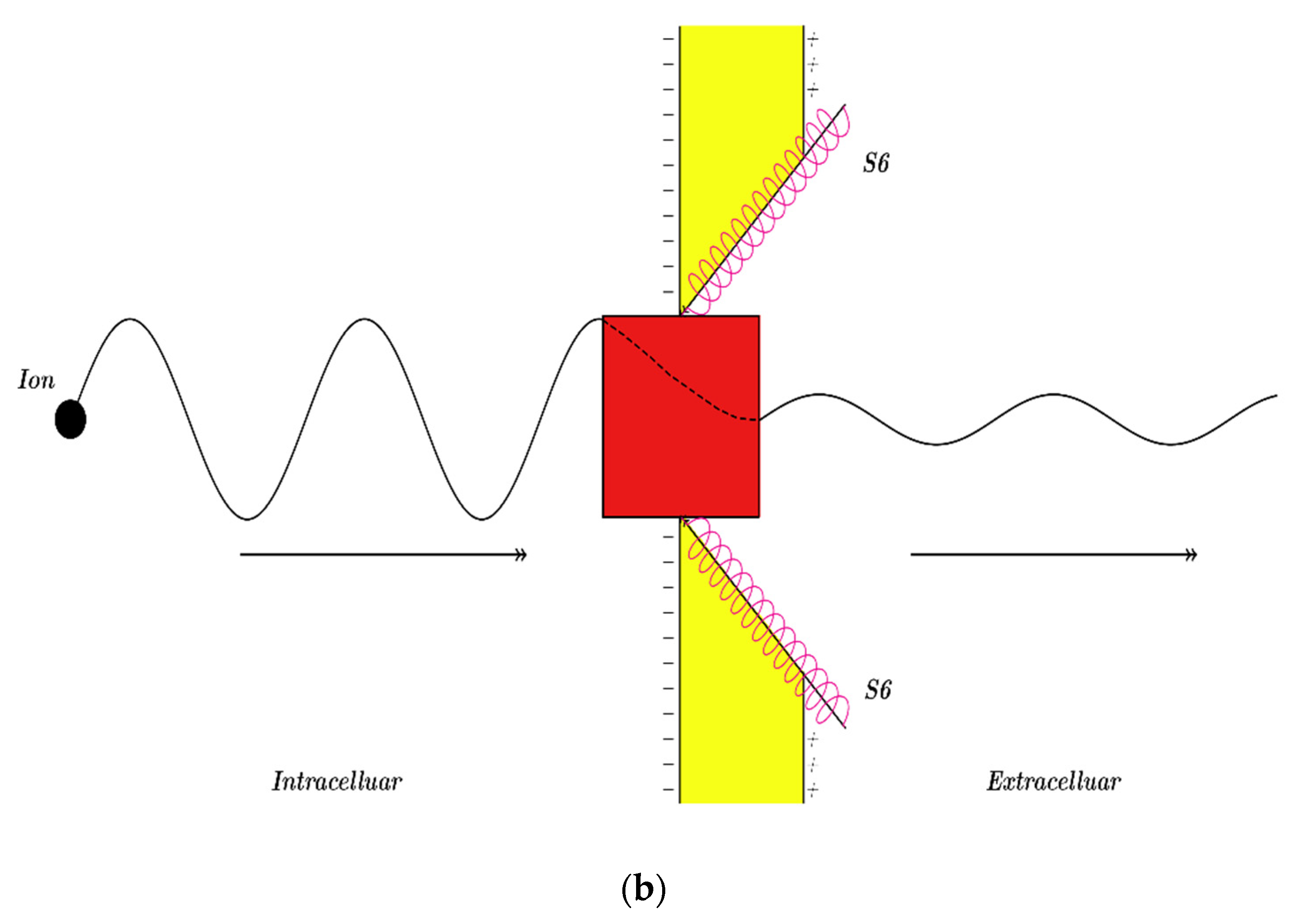 Pathophysiology 28 00010 g035b Pathophysiology 28 00010 g035b