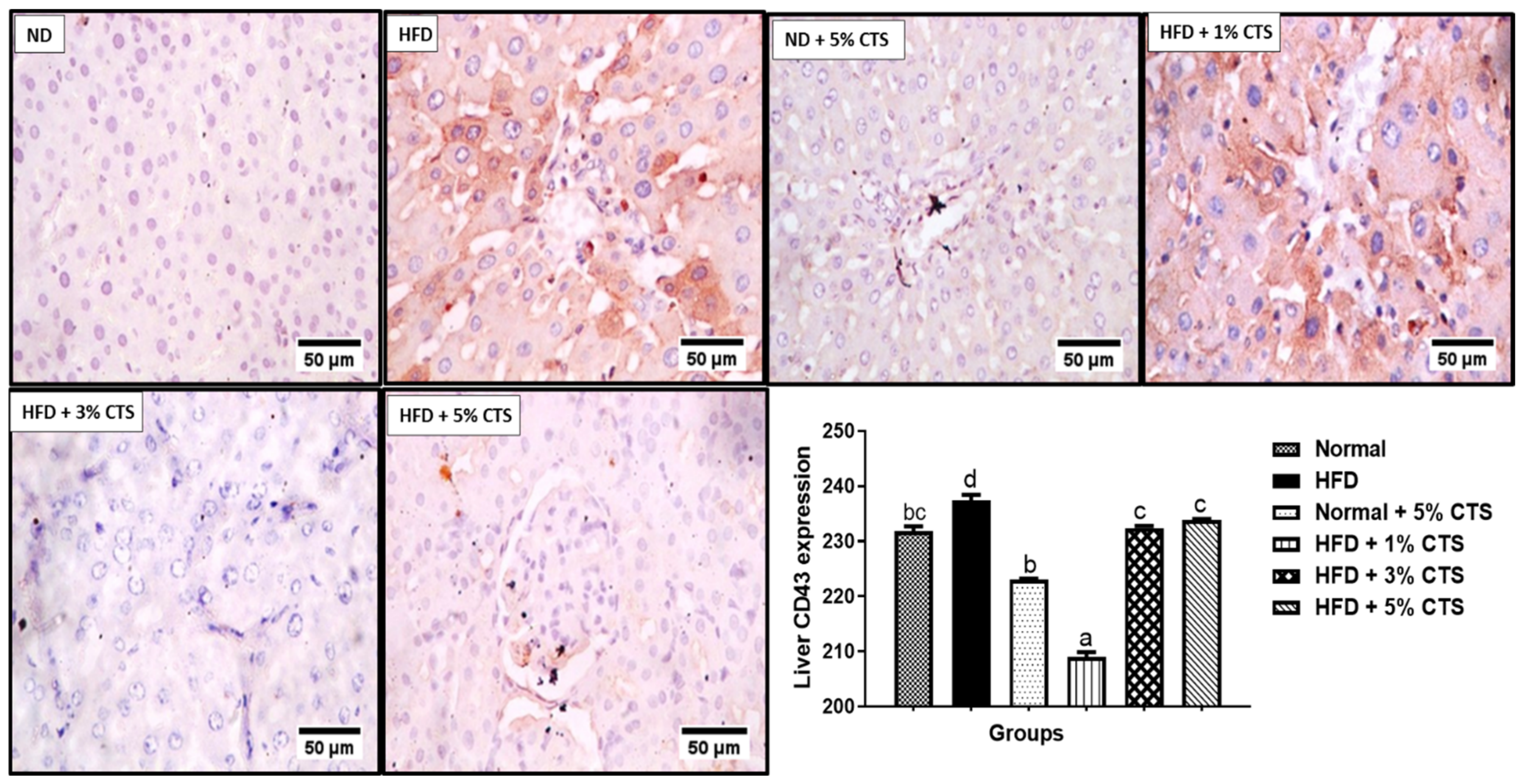 Pathophysiology 28 00015 g003