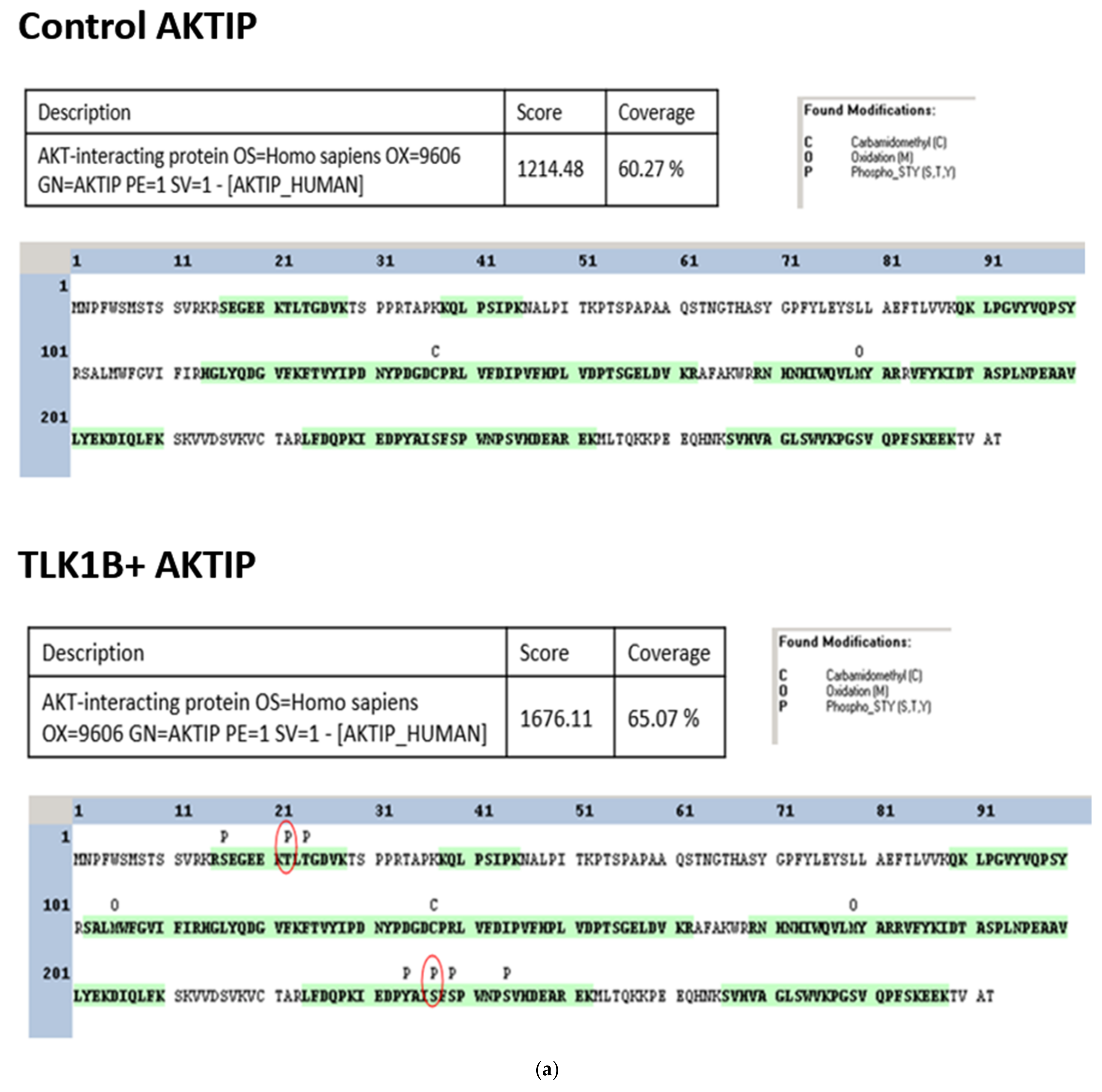 Pathophysiology 28 00023 g002a