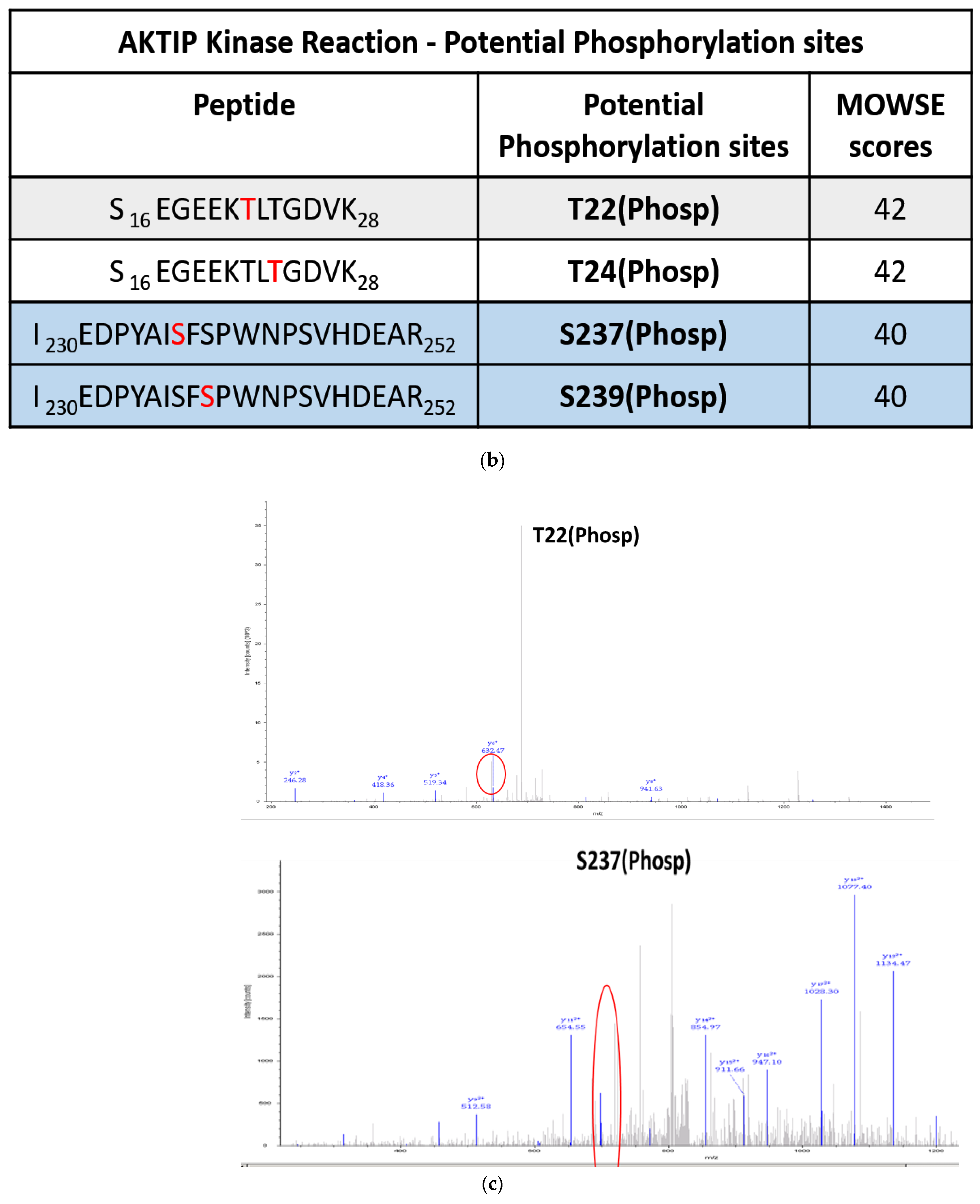 Pathophysiology 28 00023 g002b