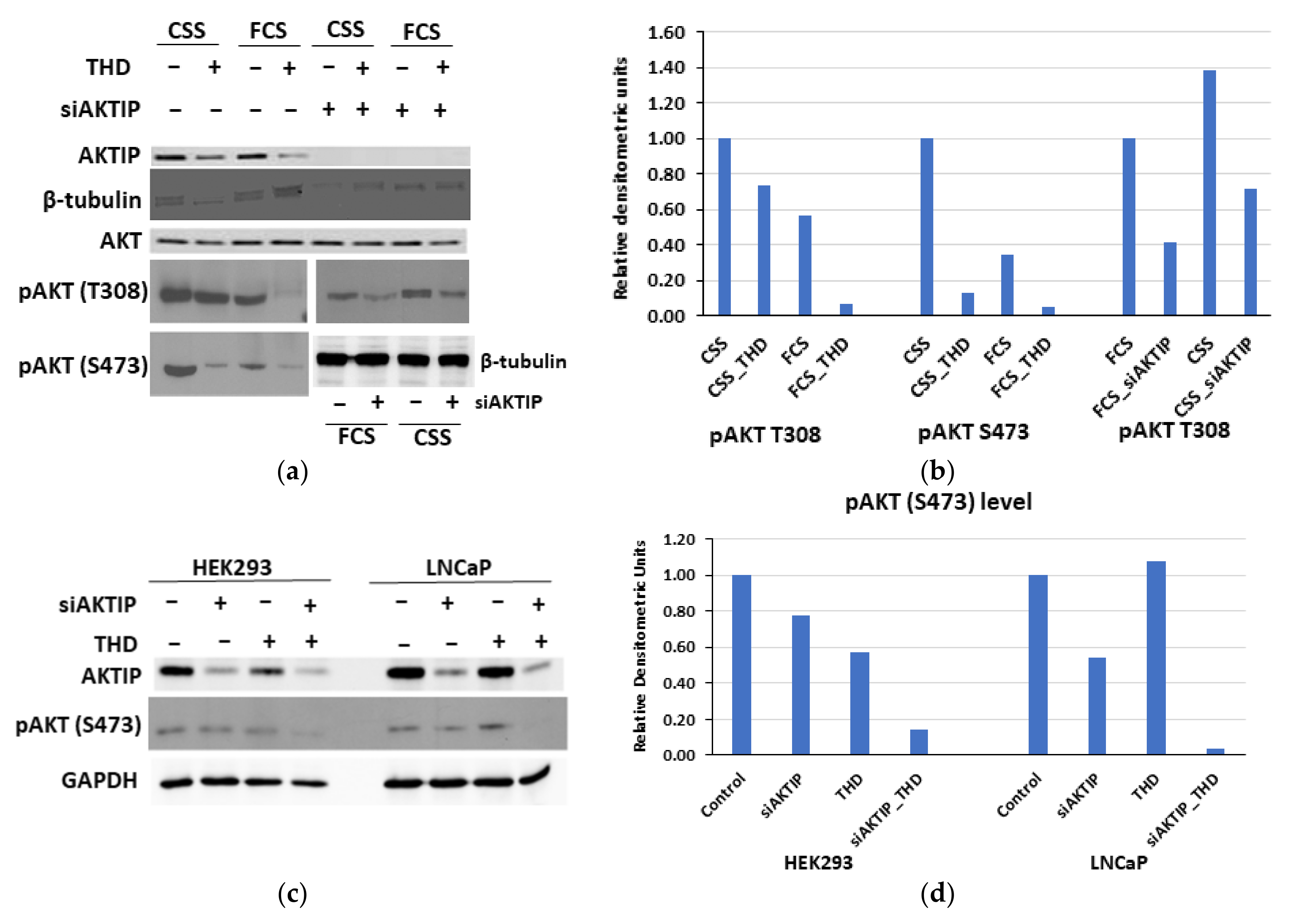 Pathophysiology 28 00023 g003a