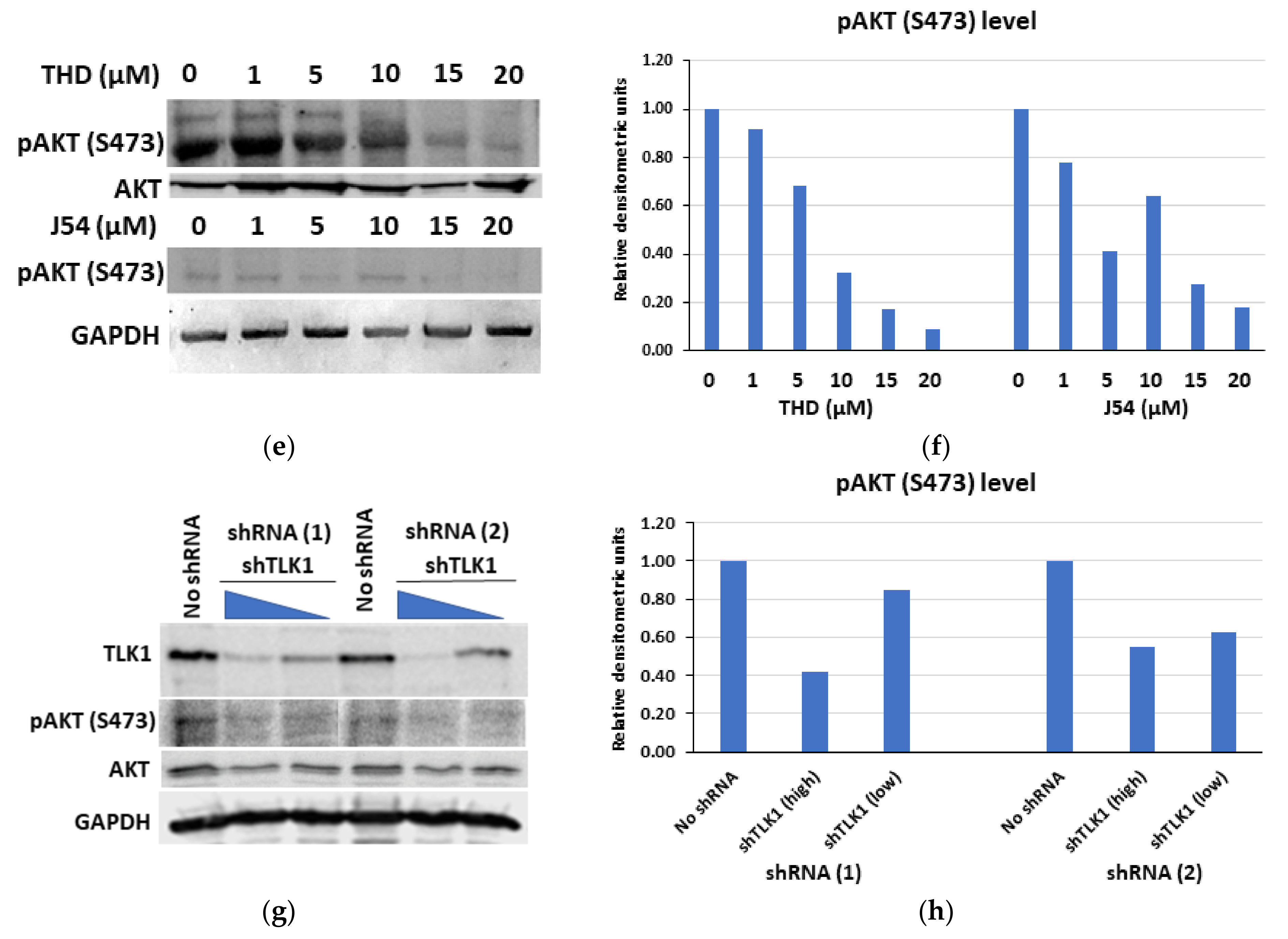 Pathophysiology 28 00023 g003b