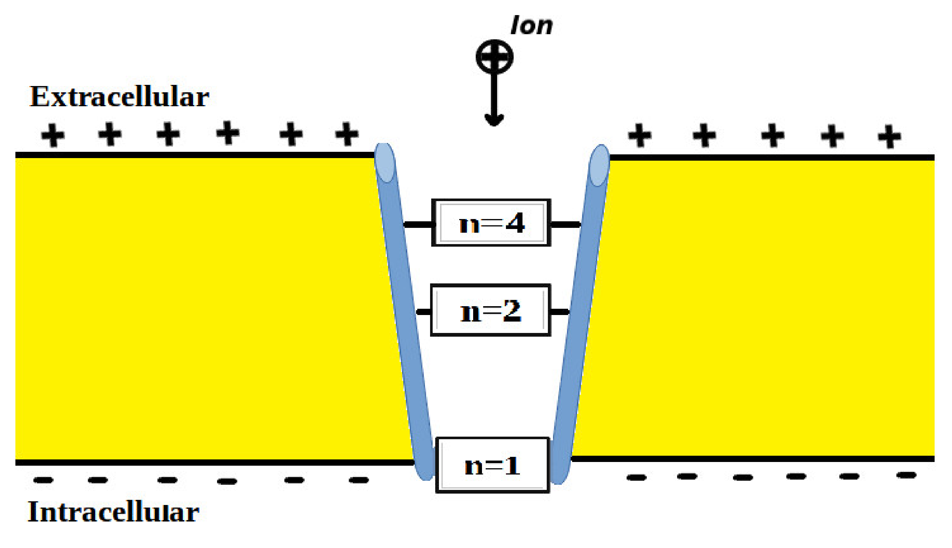 Pathophysiology 28 00027 g001