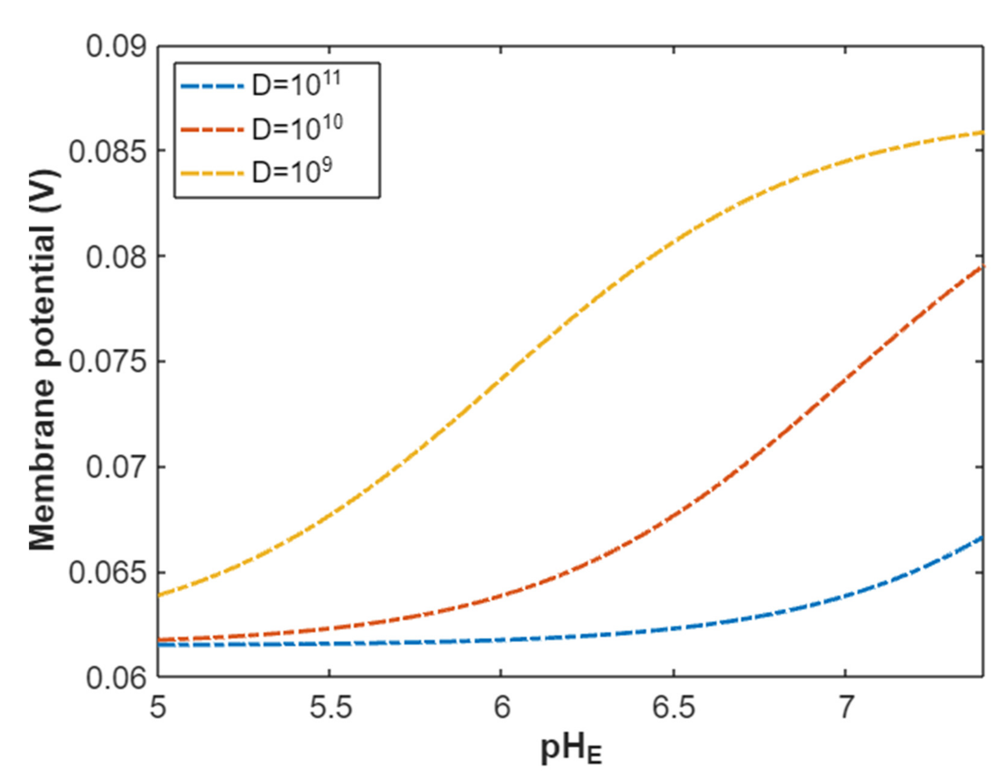 Pathophysiology 28 00027 g010