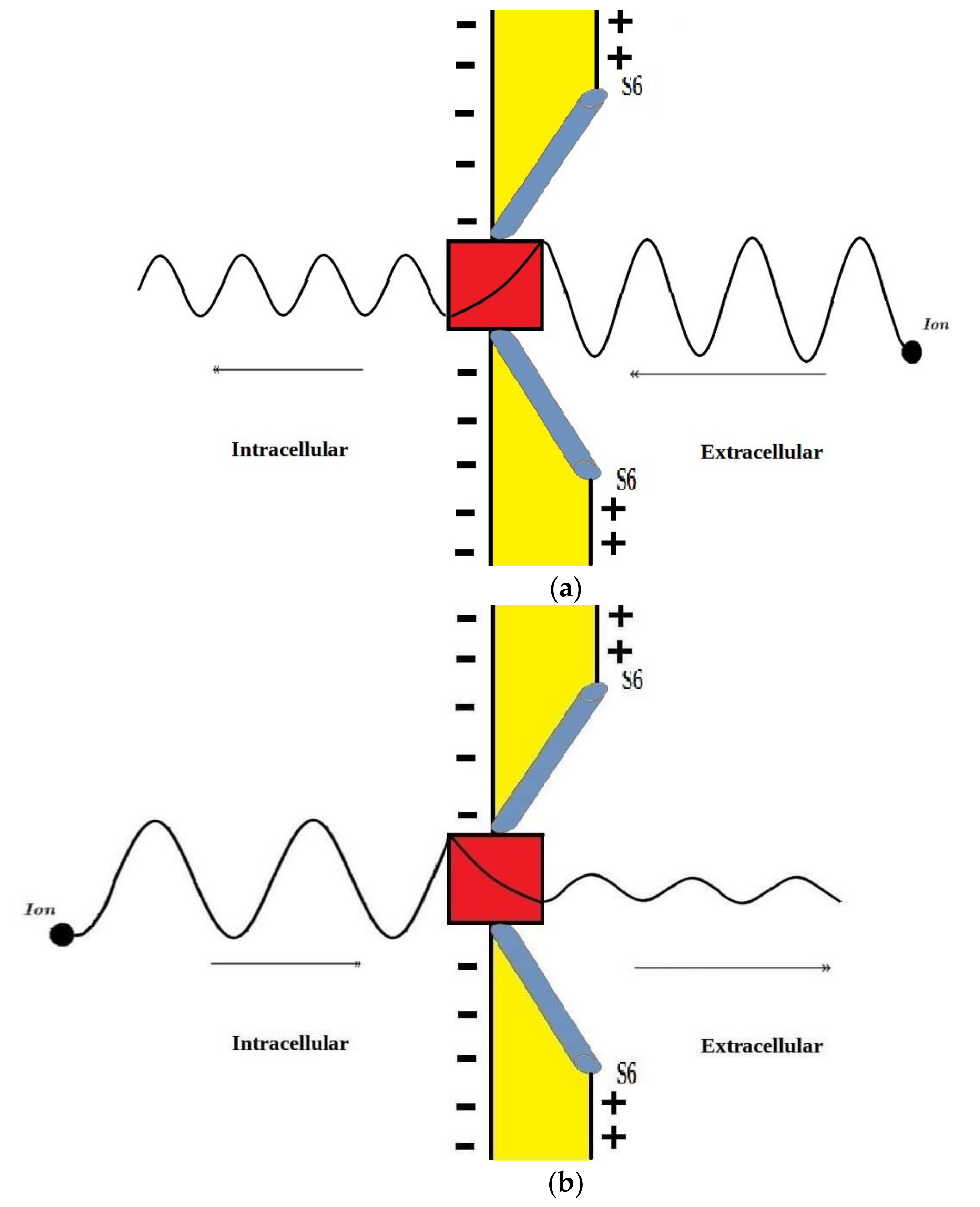Pathophysiology 28 00027 g012