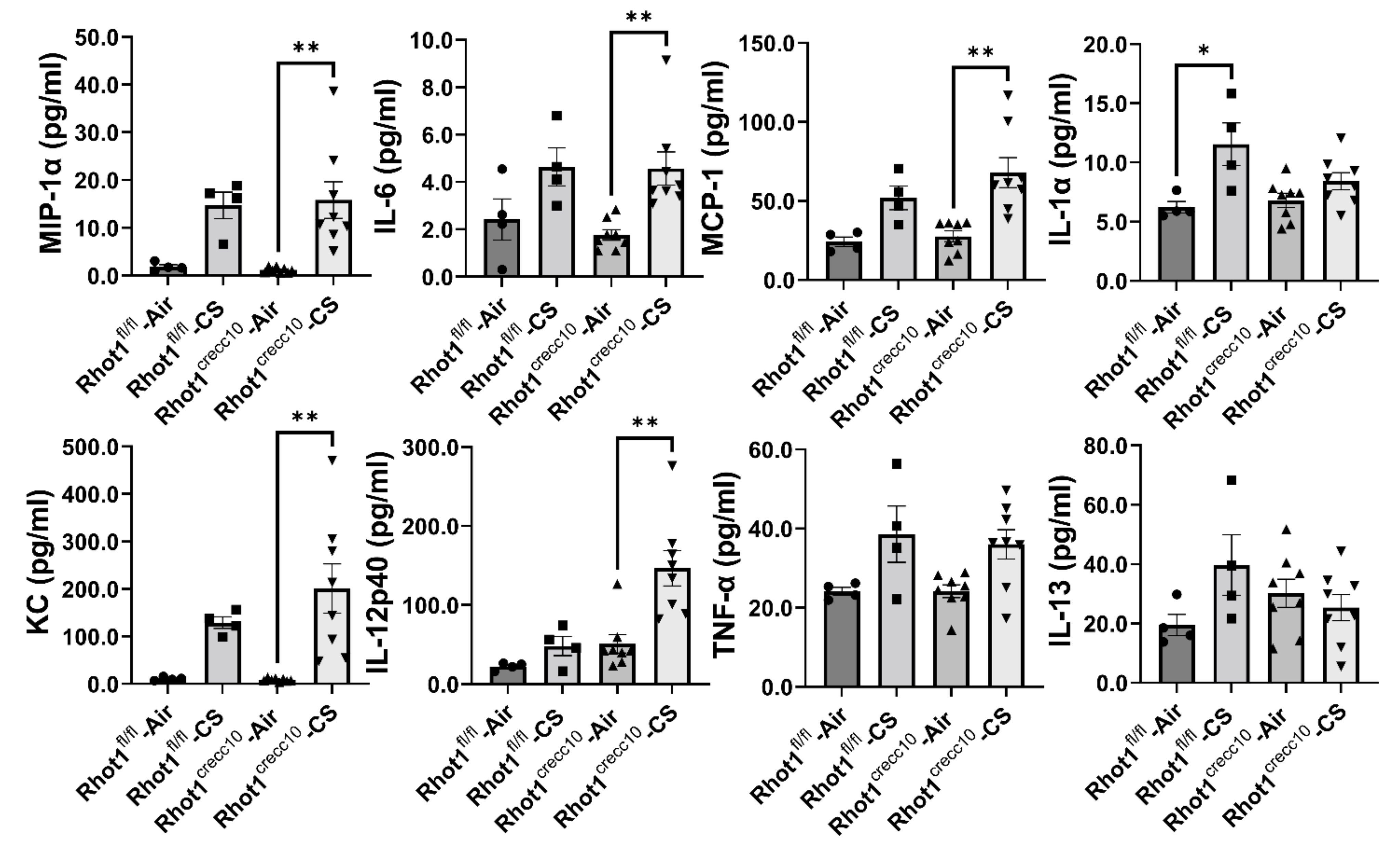 Pathophysiology 28 00033 g002