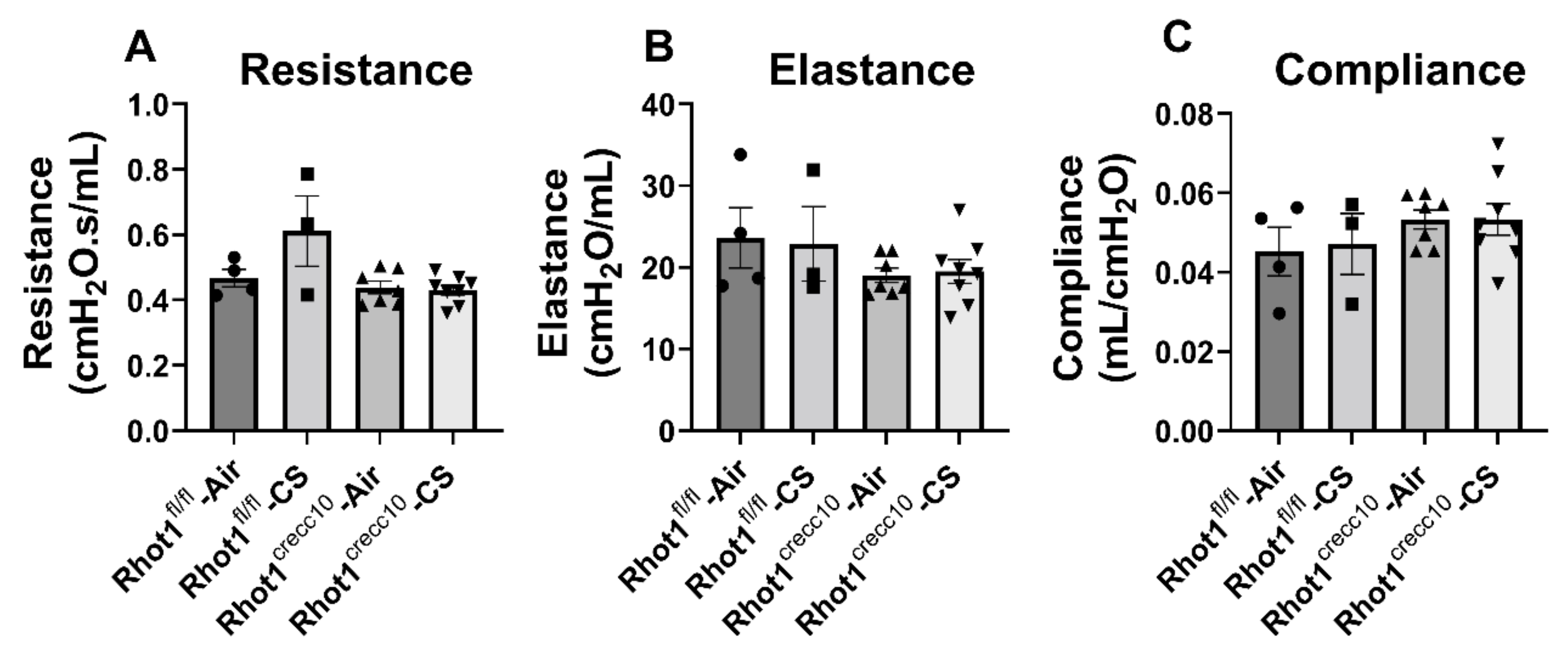 Pathophysiology 28 00033 g005