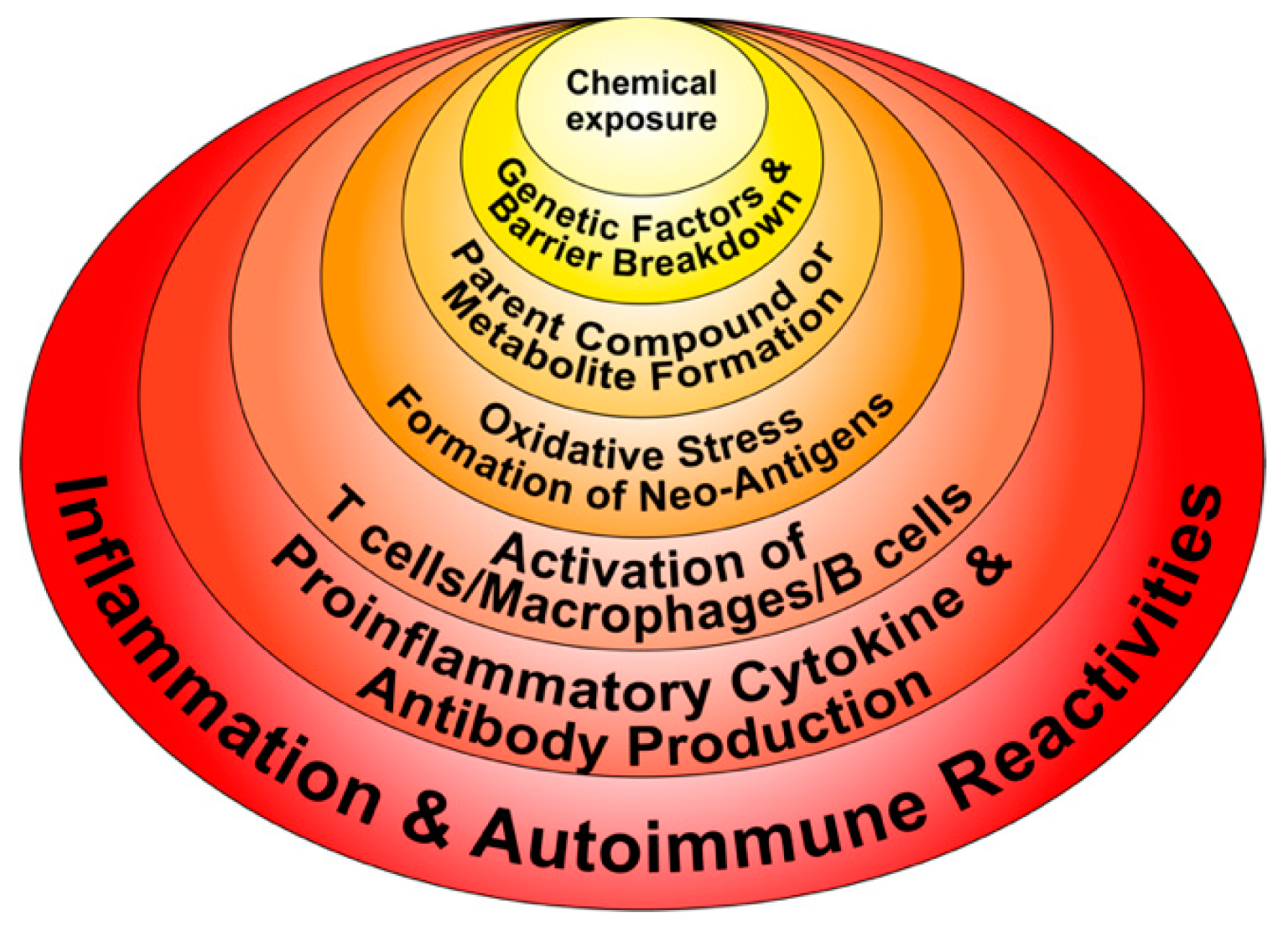 Pathophysiology 28 00034 g004 Pathophysiology 28 00034 g004