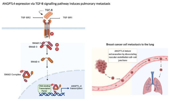 Pathophysiology 29 00002 g001 550
