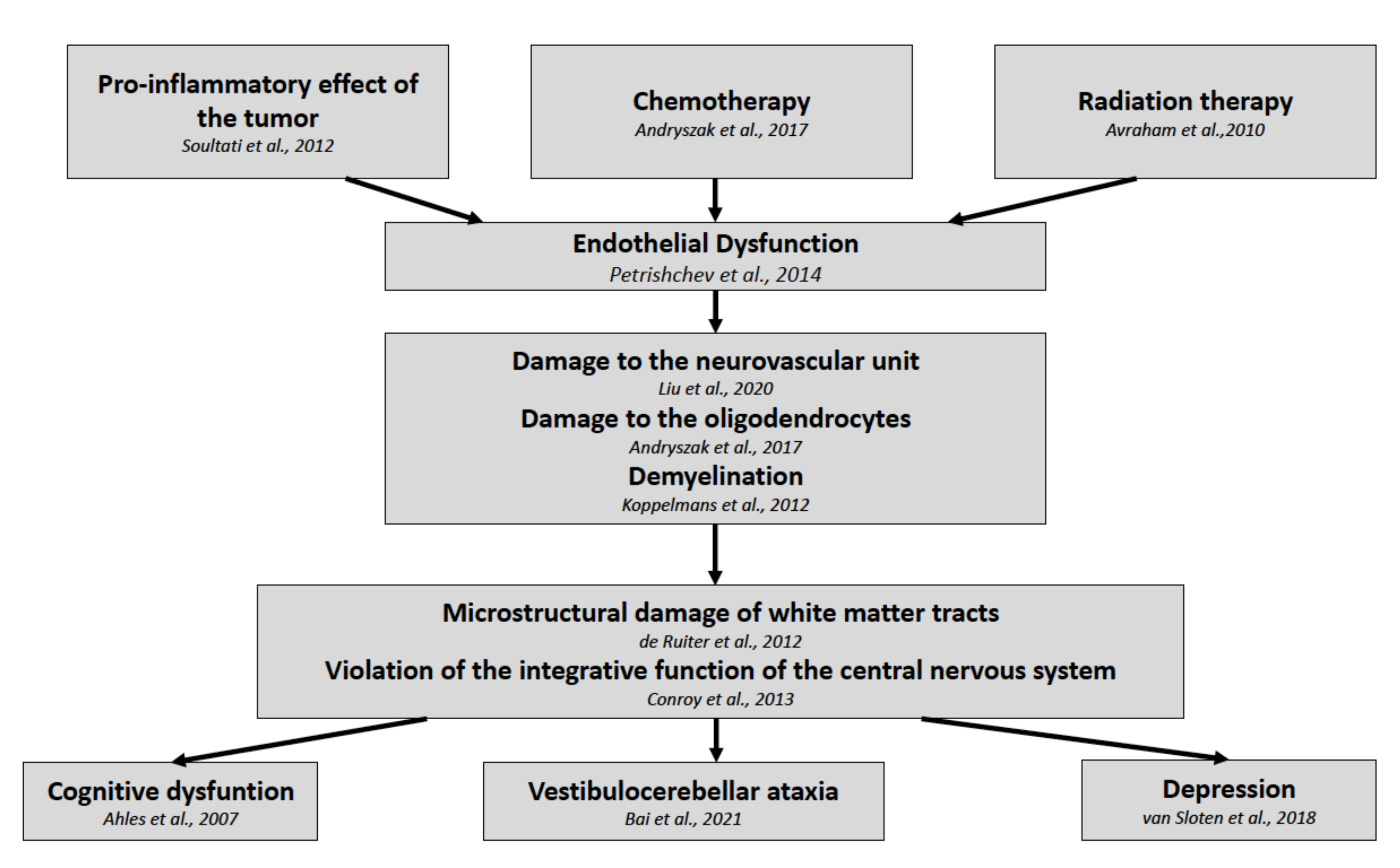 Pathophysiology 29 00006 g002