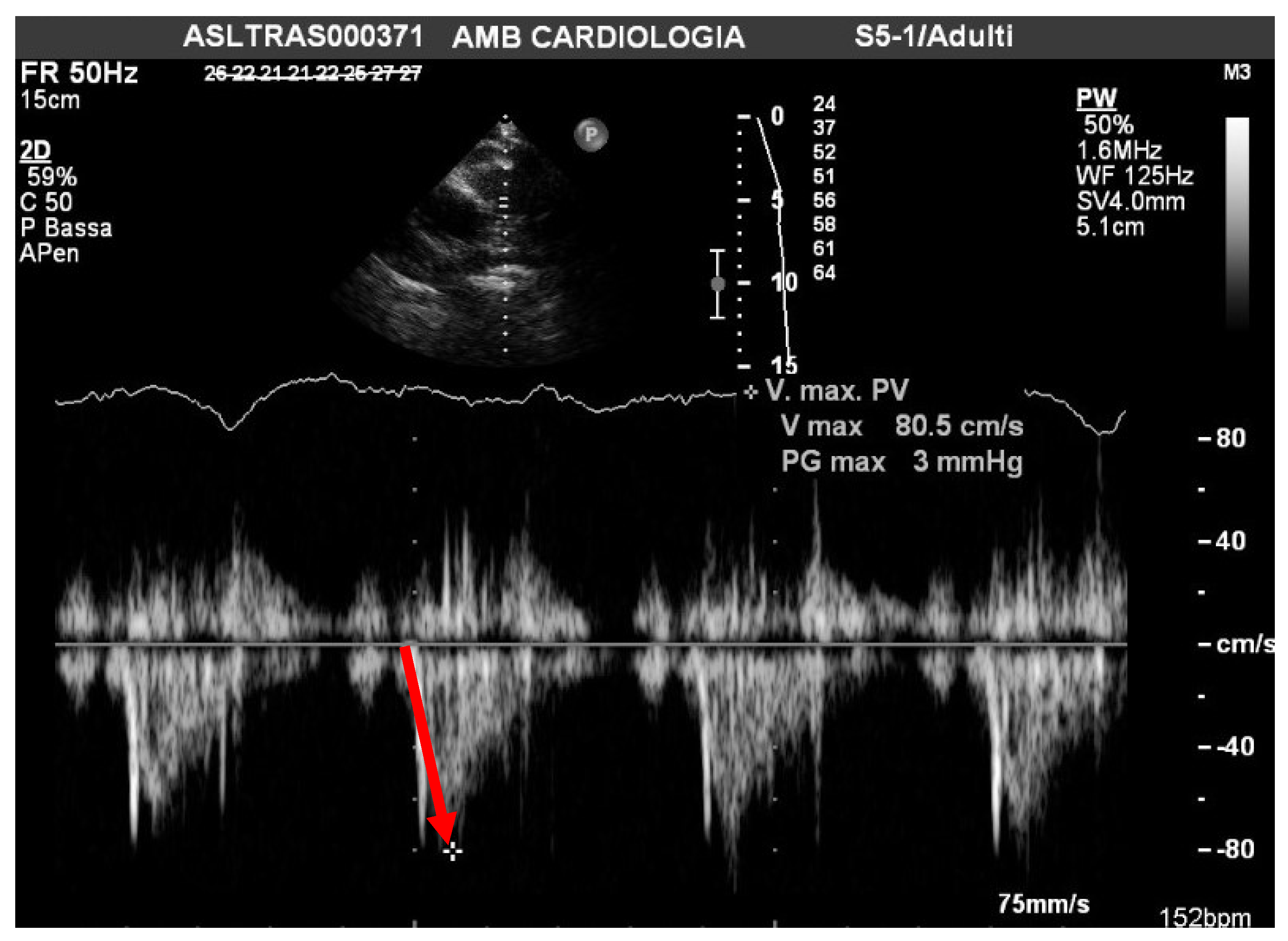 Pathophysiology 29 00012 g001