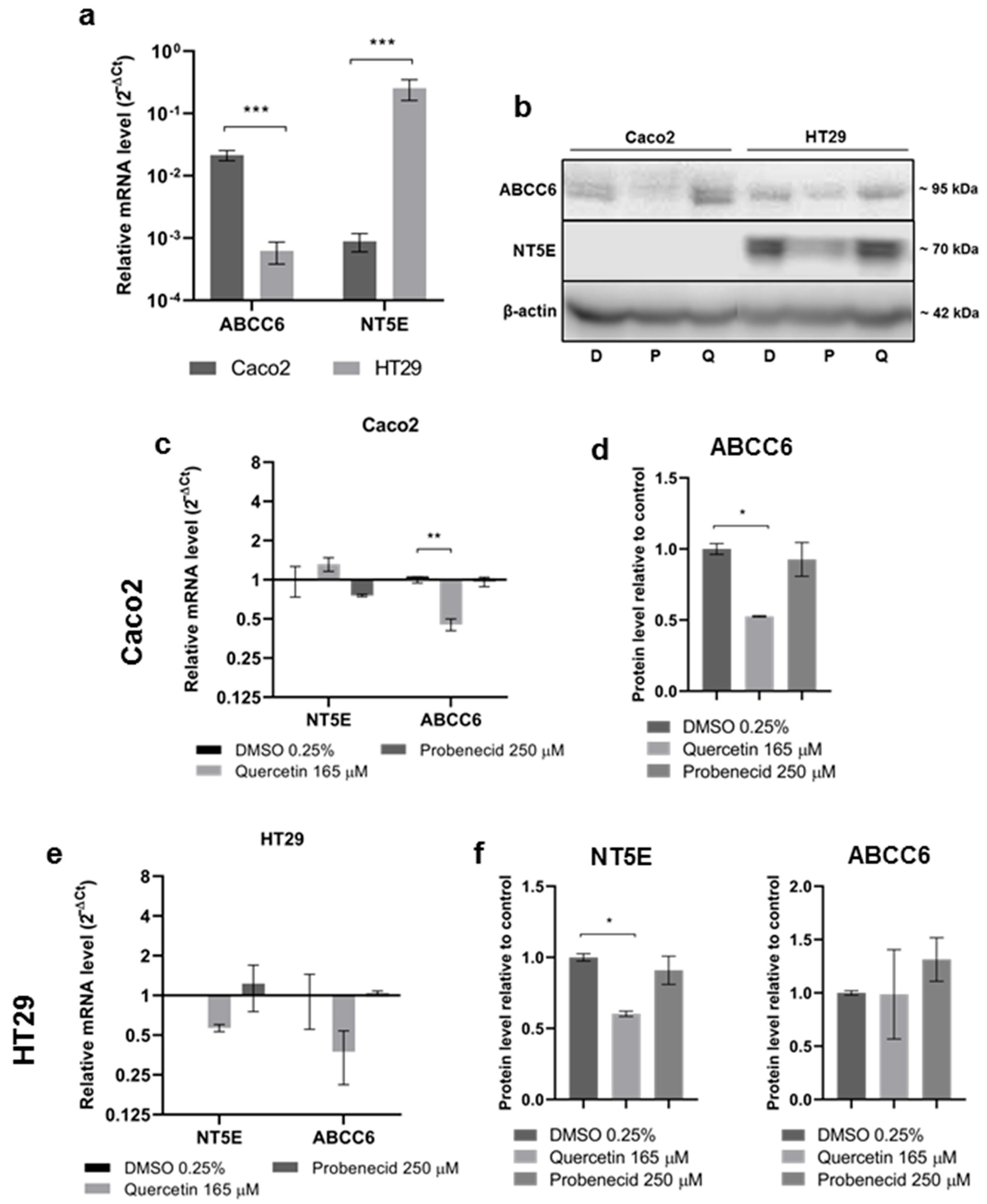 Pathophysiology 29 00015 g002