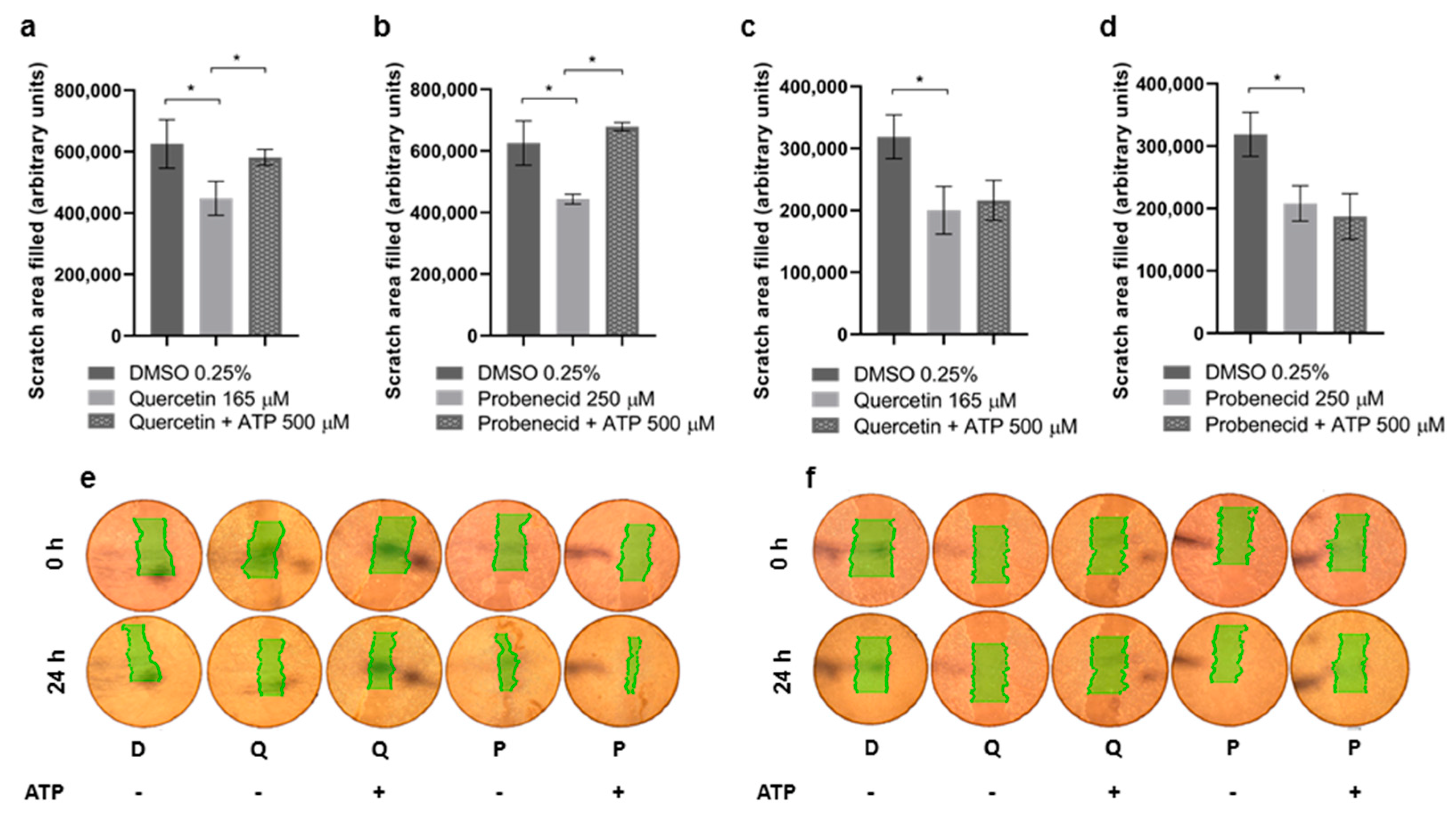 Pathophysiology 29 00015 g003