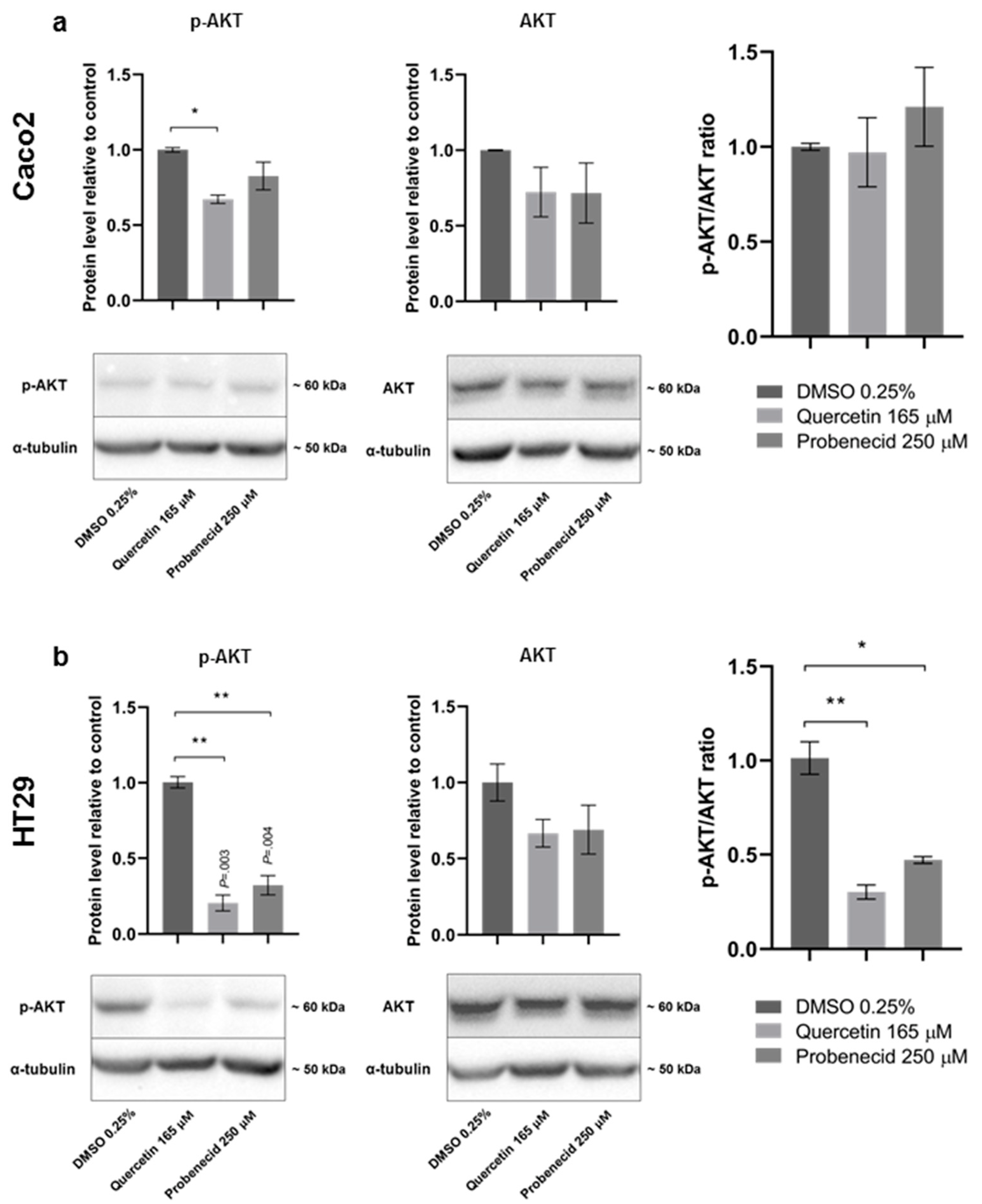 Pathophysiology 29 00015 g004