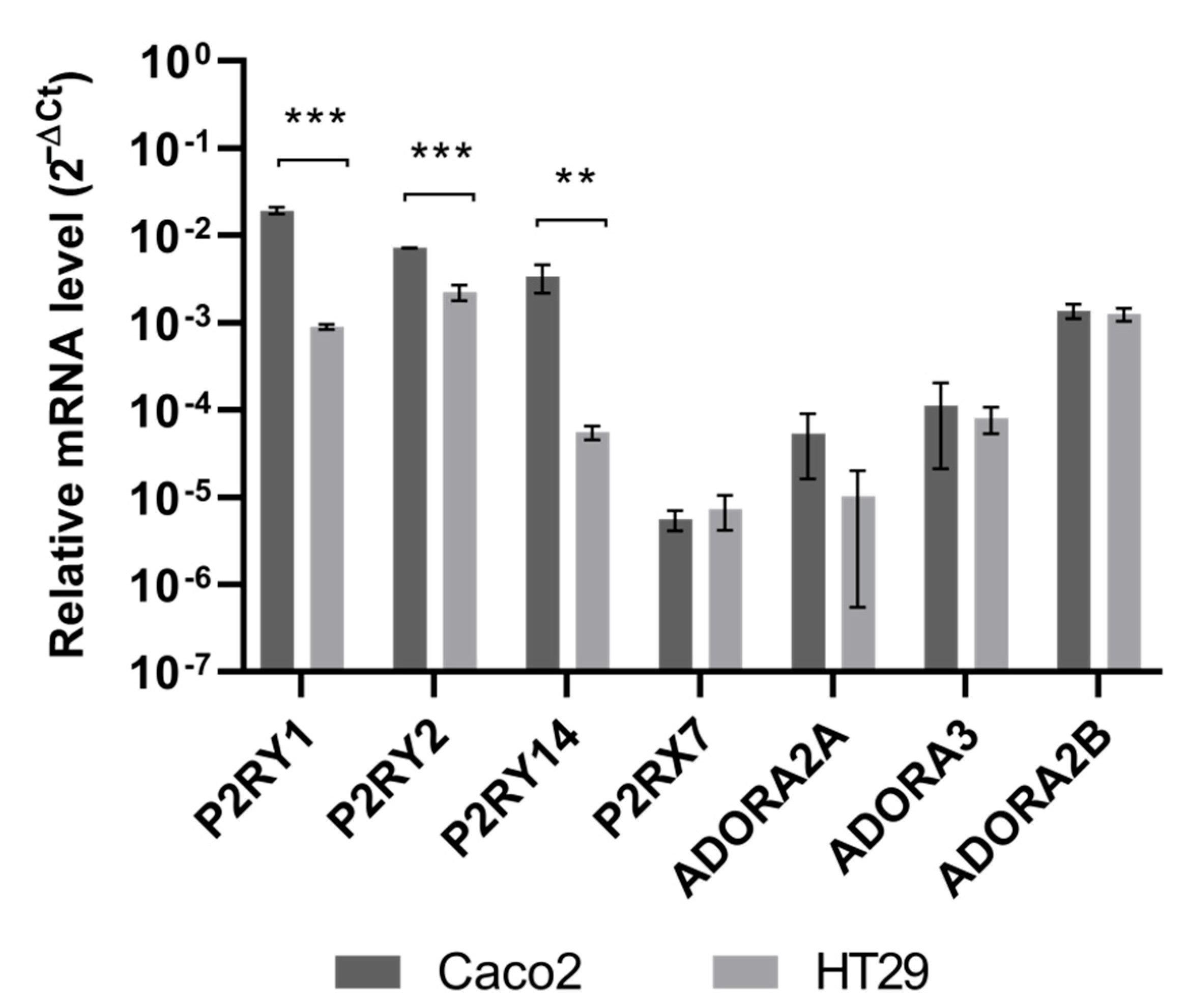 Pathophysiology 29 00015 g005