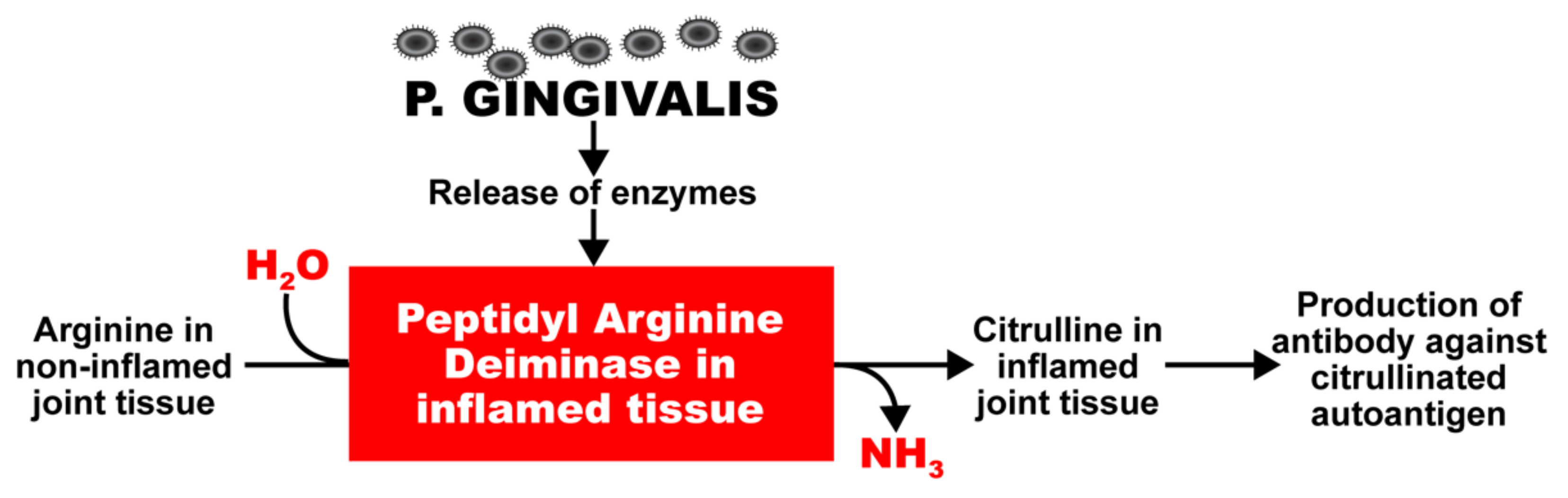 Pathophysiology 29 00020 g001