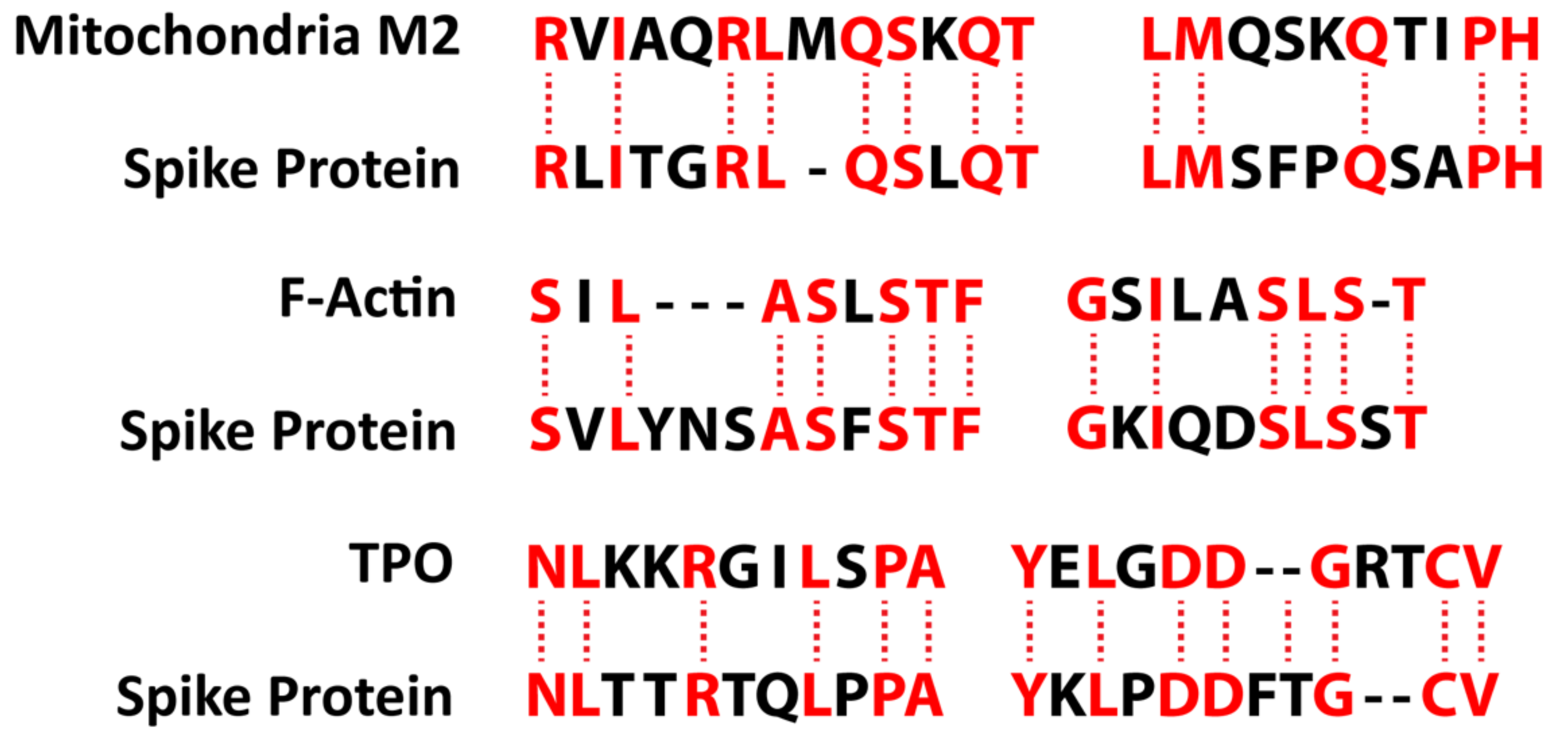 Pathophysiology 29 00020 g004