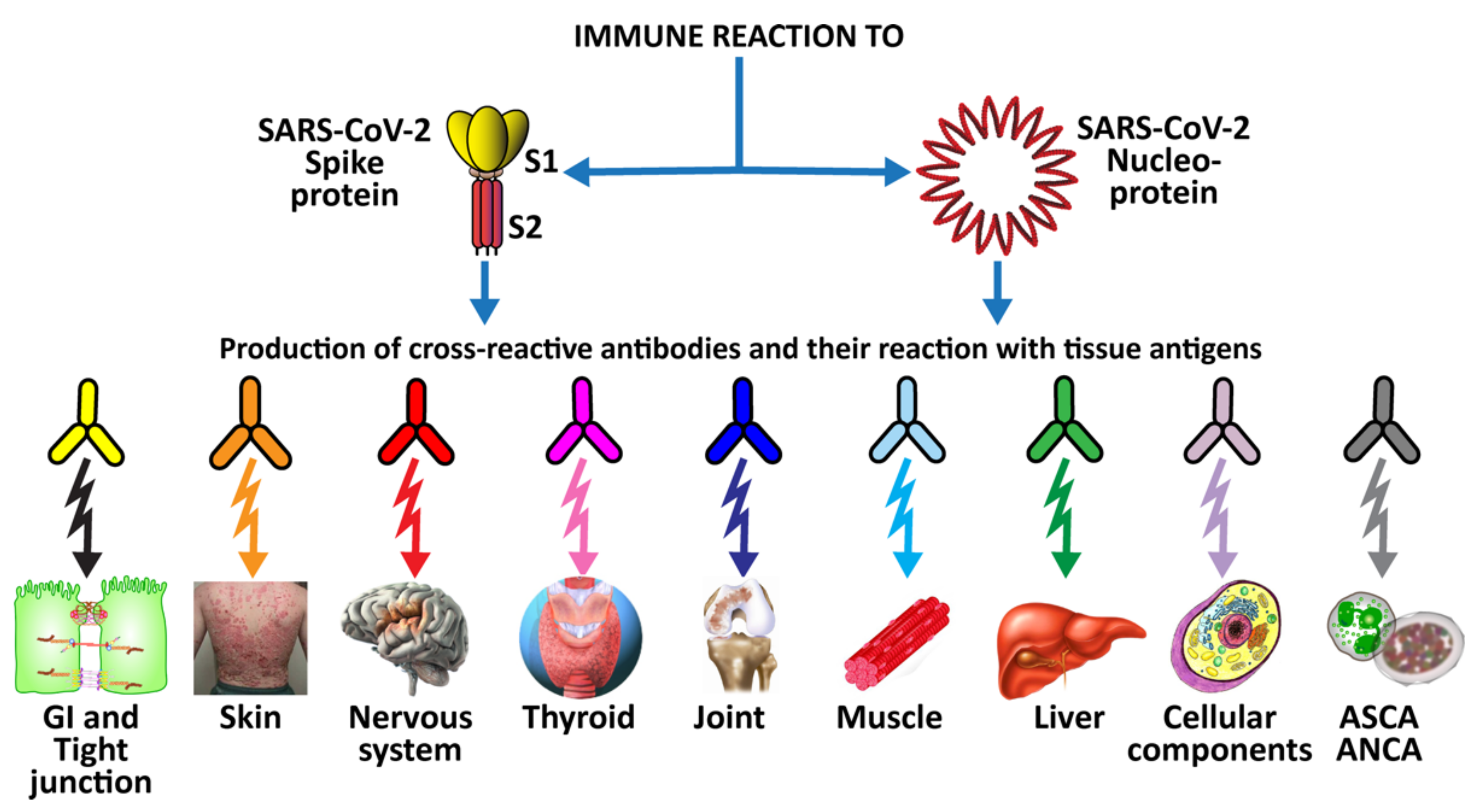 Pathophysiology 29 00020 g005