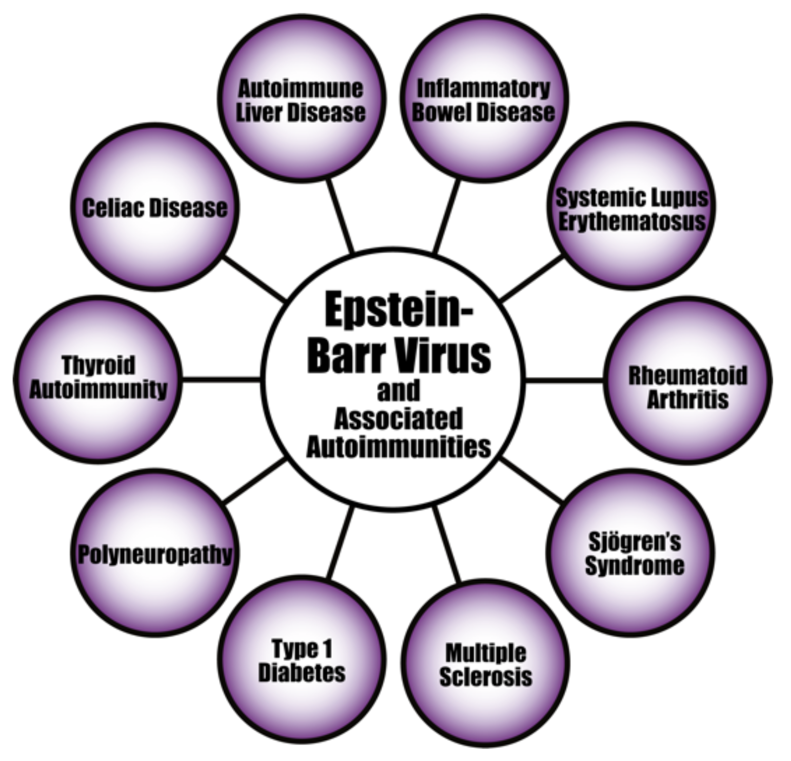 Pathophysiology 29 00020 g008