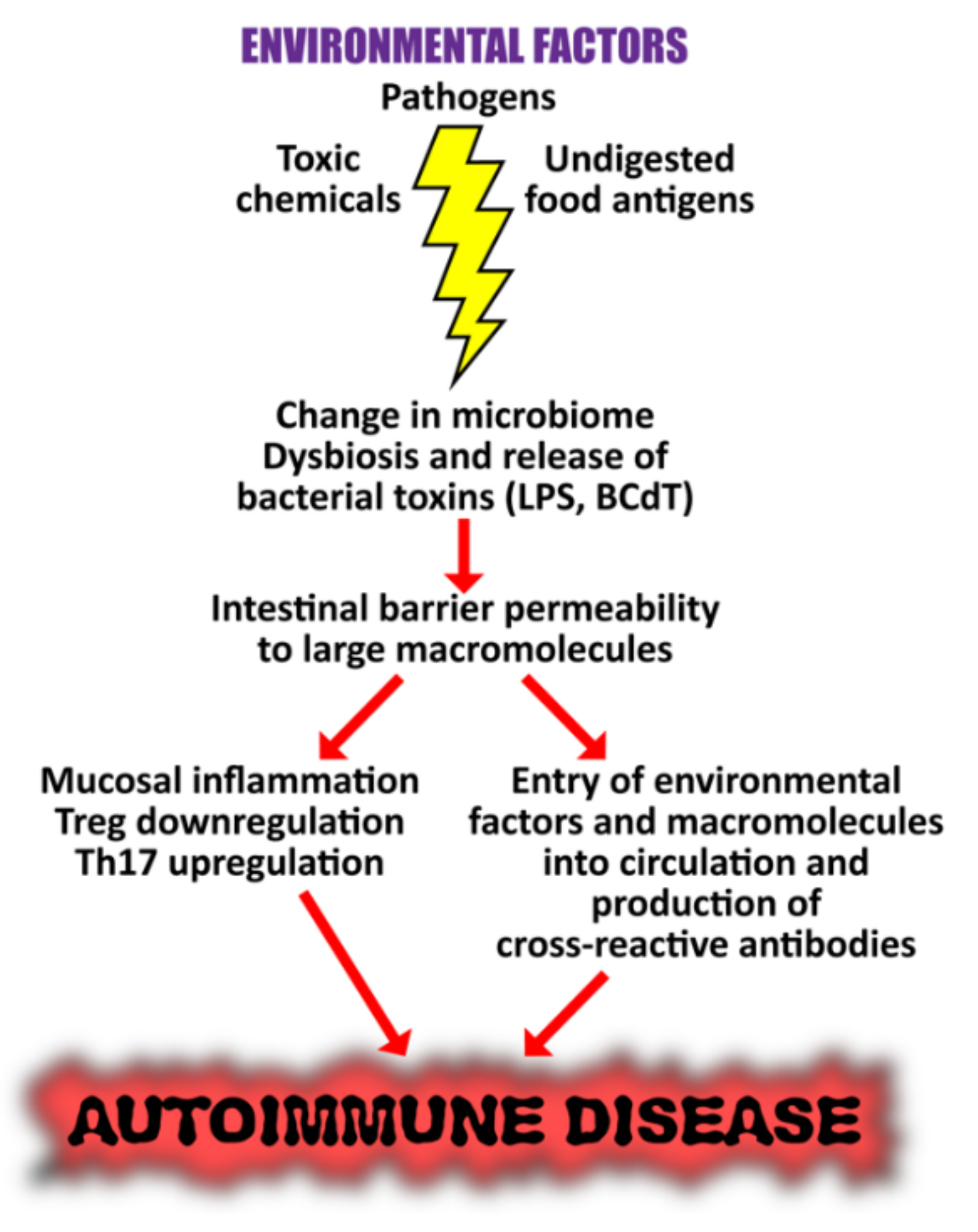 Pathophysiology 29 00020 g015
