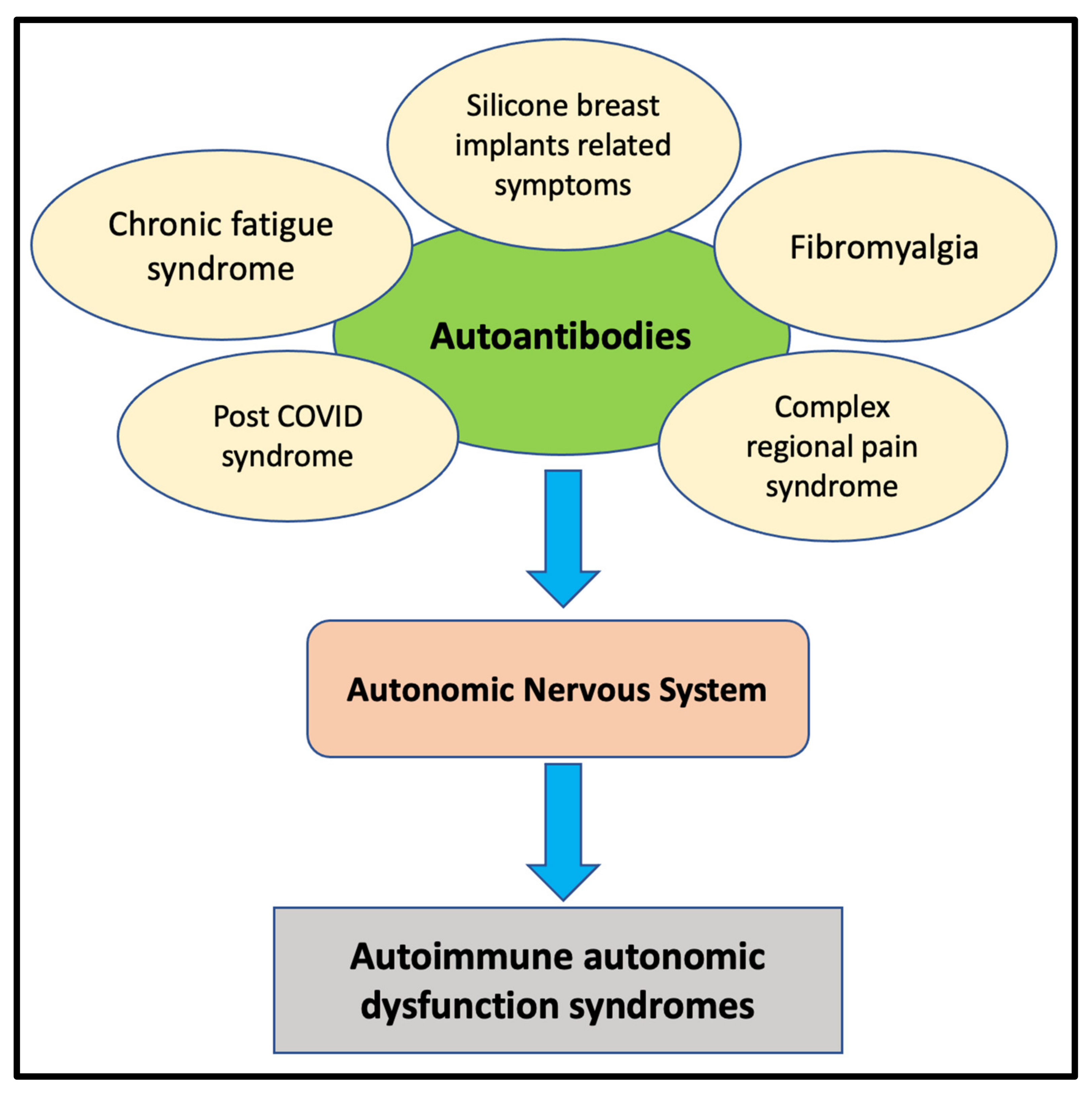 Pathophysiology 29 00033 g001