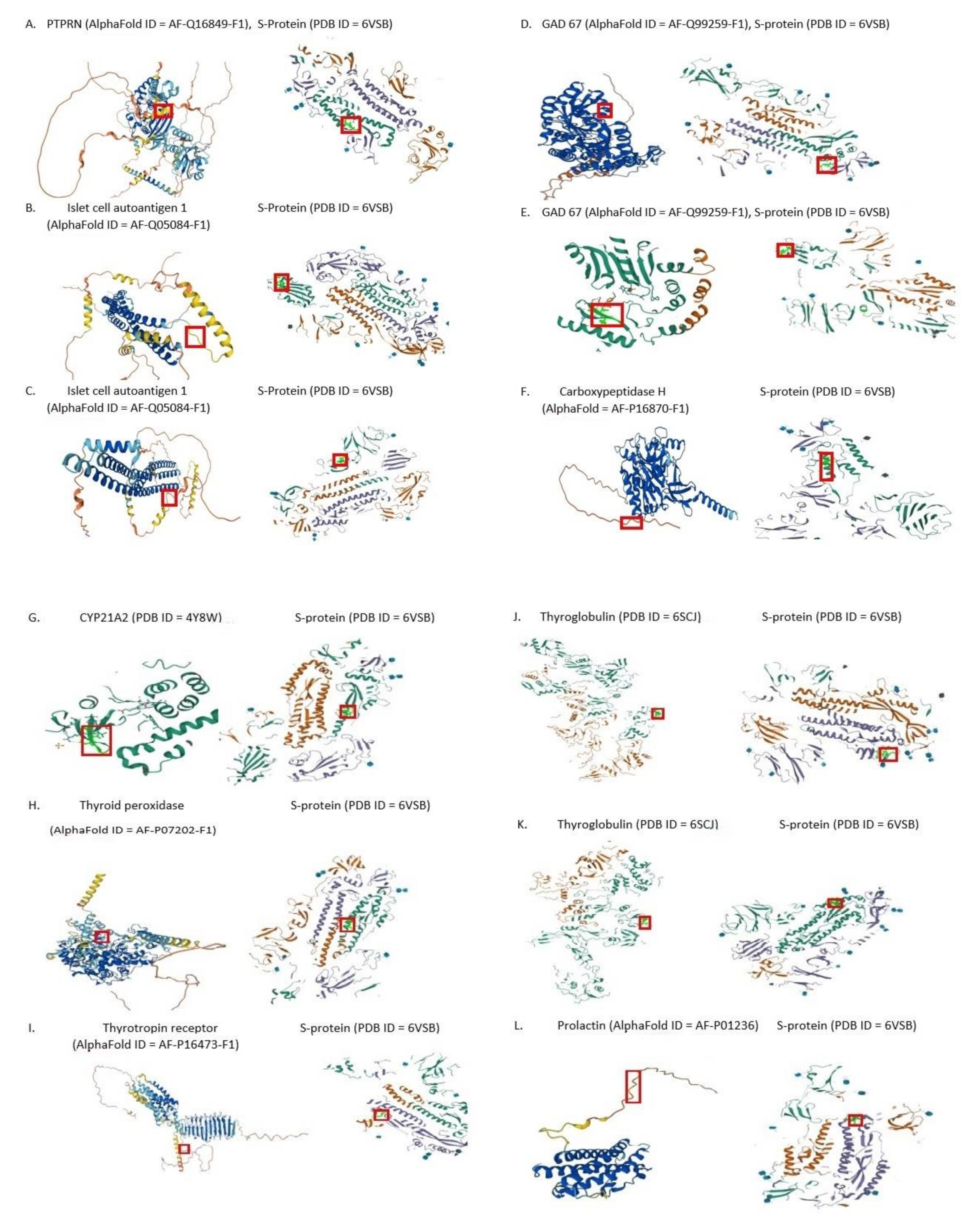 Pathophysiology 29 00039 g002
