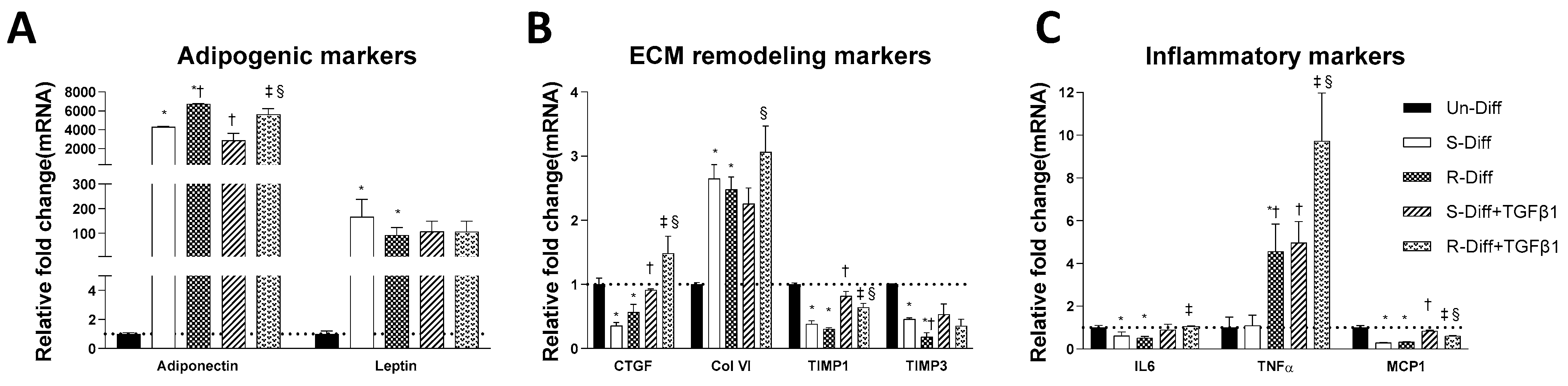 Pathophysiology 29 00050 g003