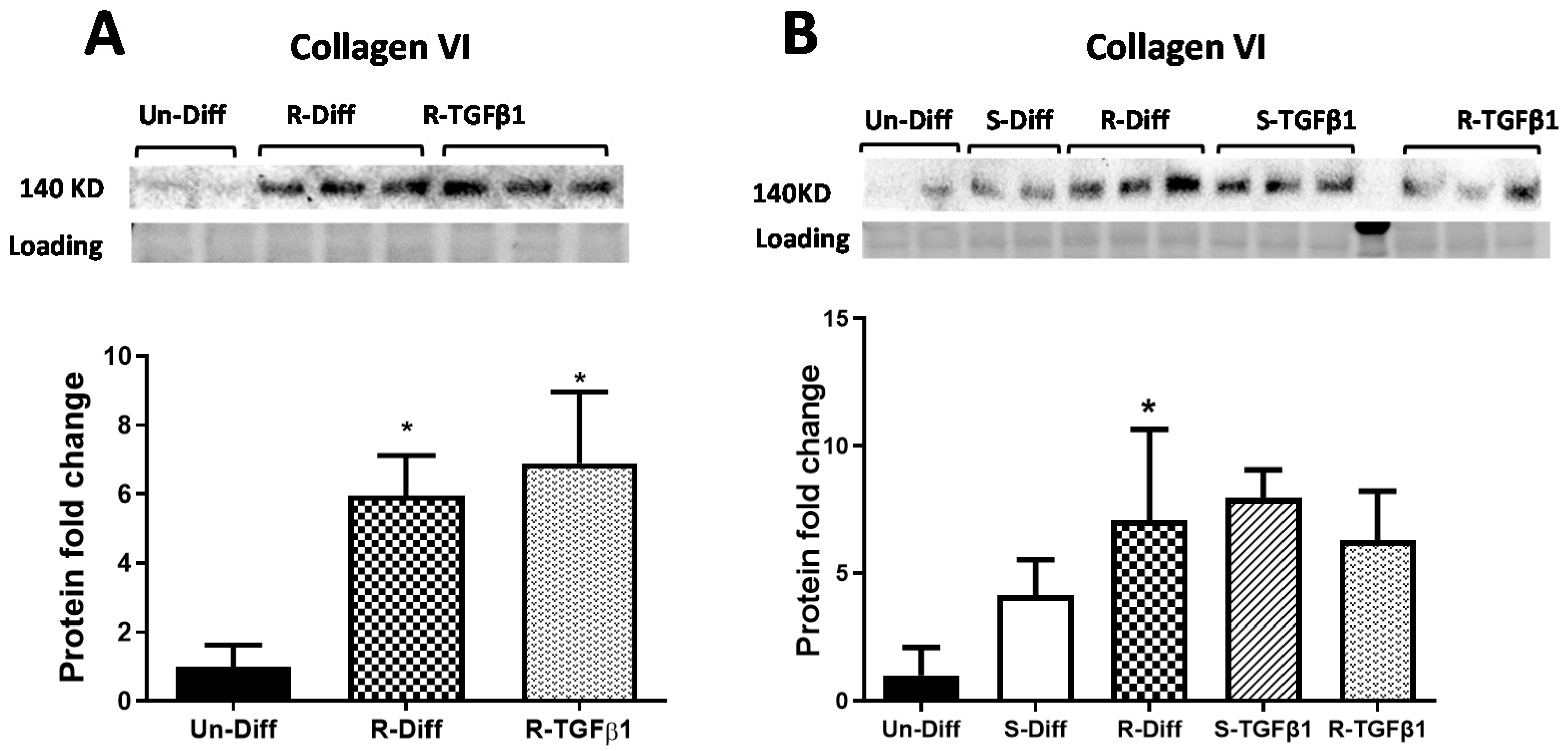Pathophysiology 29 00050 g004
