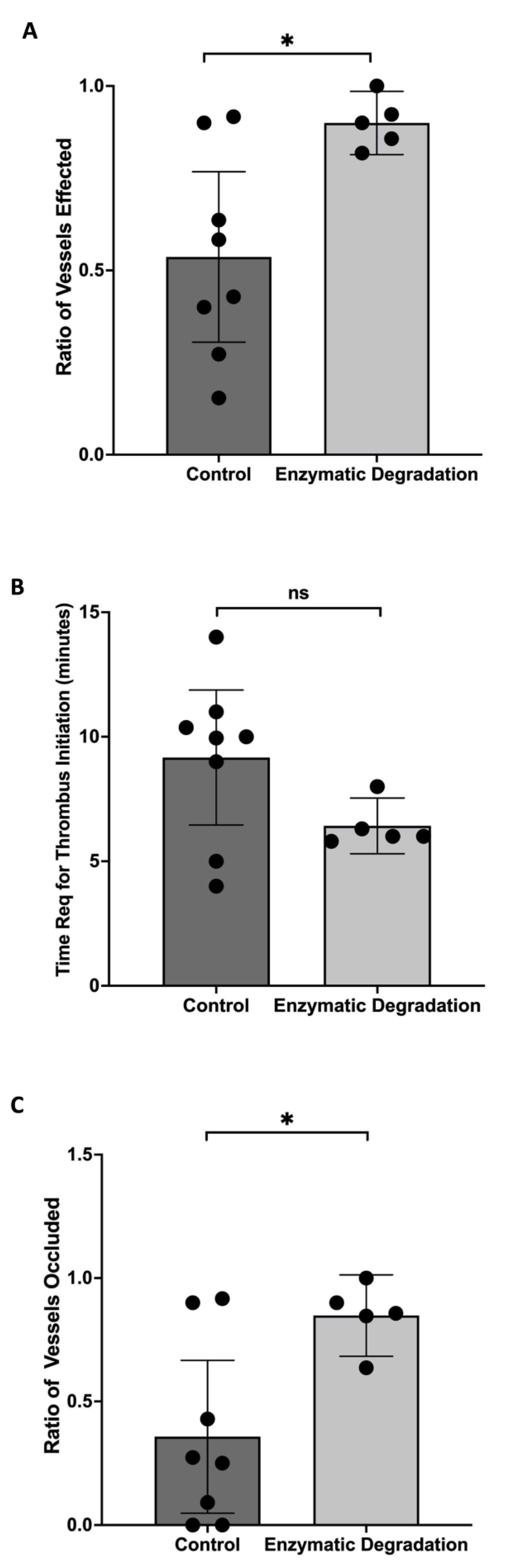Pathophysiology 29 00052 g007