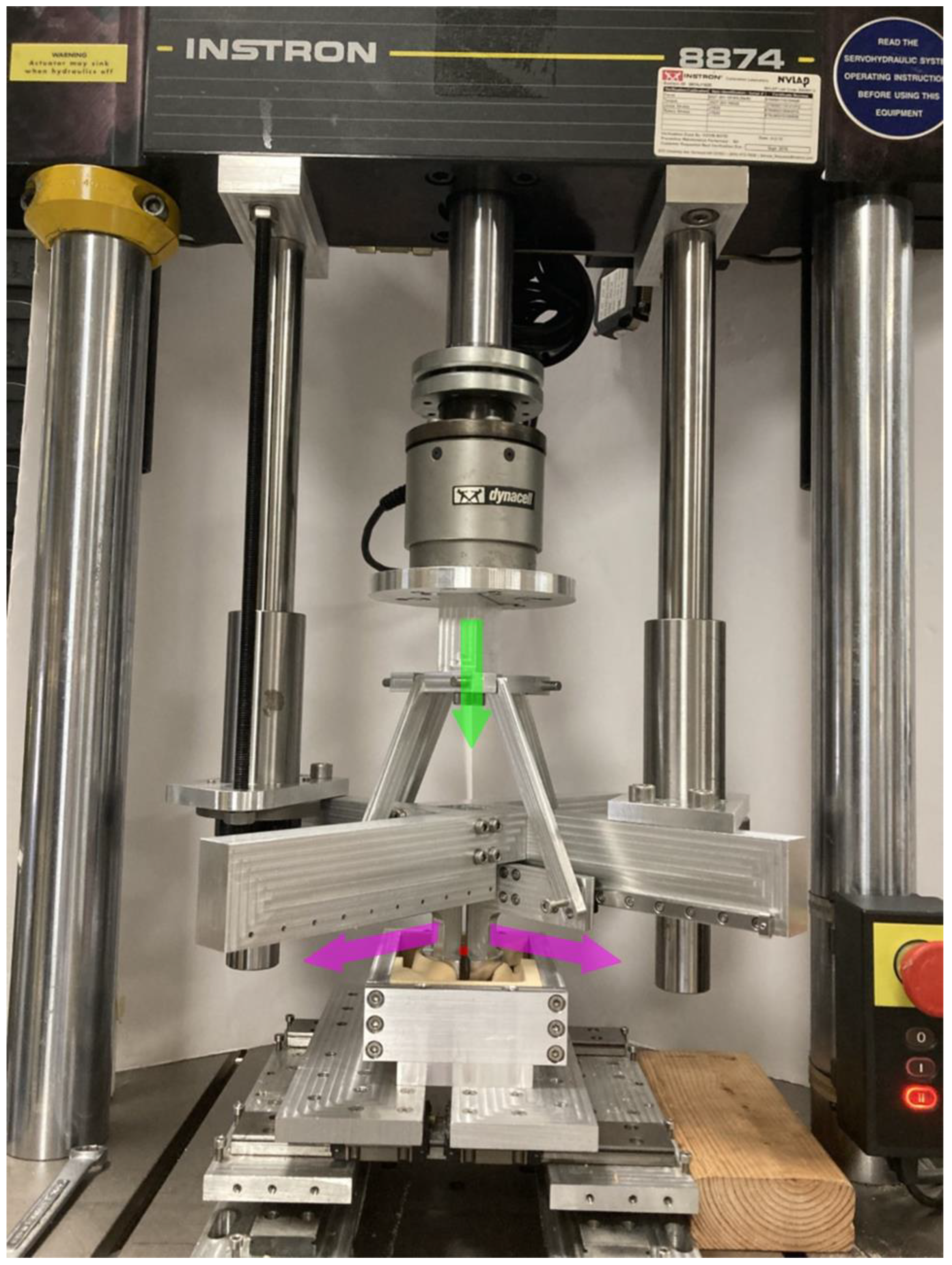 Pathophysiology 30 00008 g002