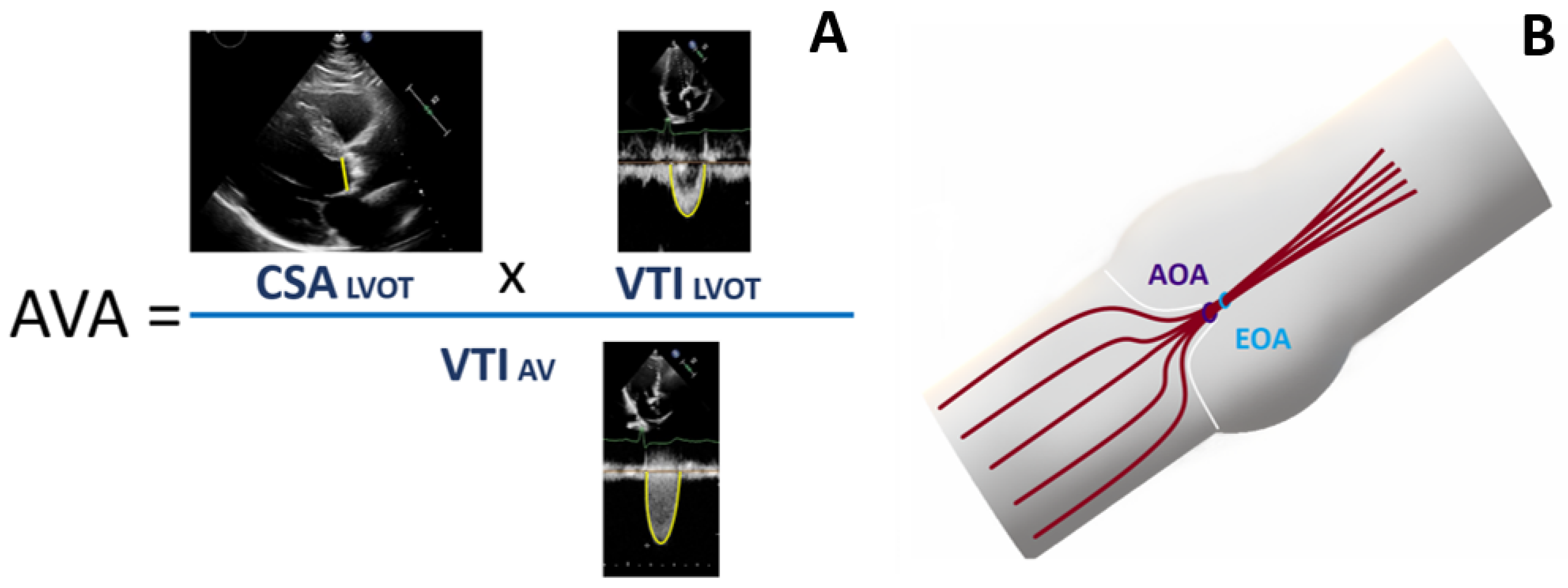 Pathophysiology 30 00015 g001