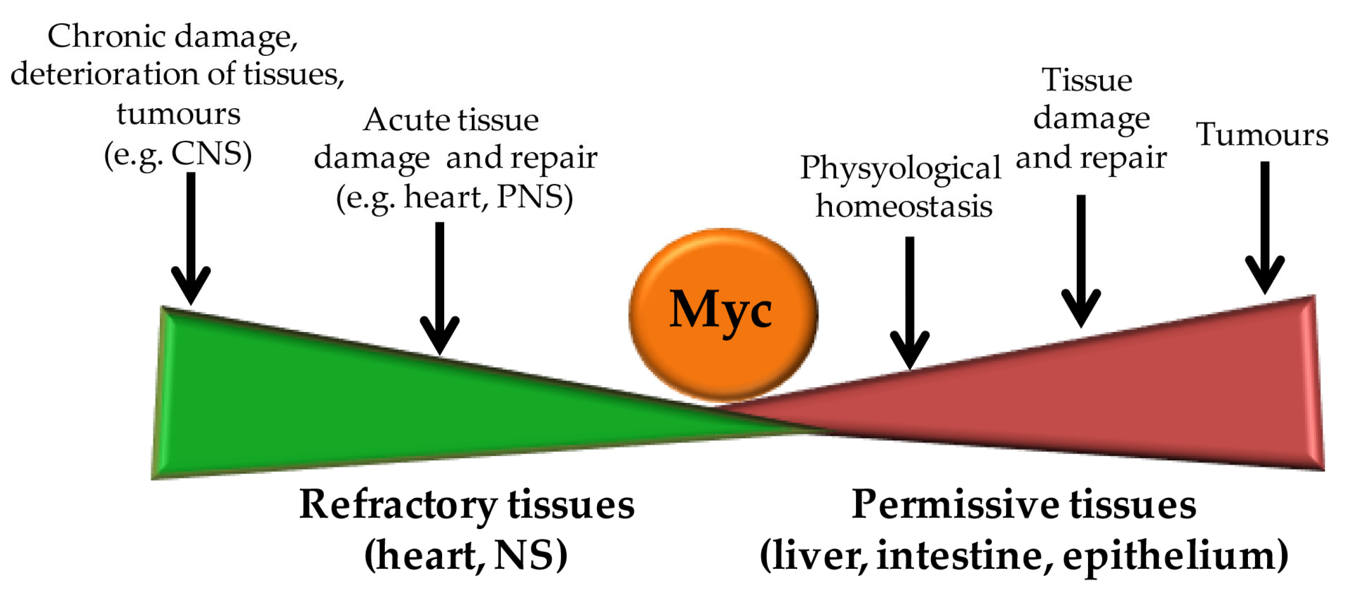 Pathophysiology 30 00027 g003 Pathophysiology 30 00027 g003