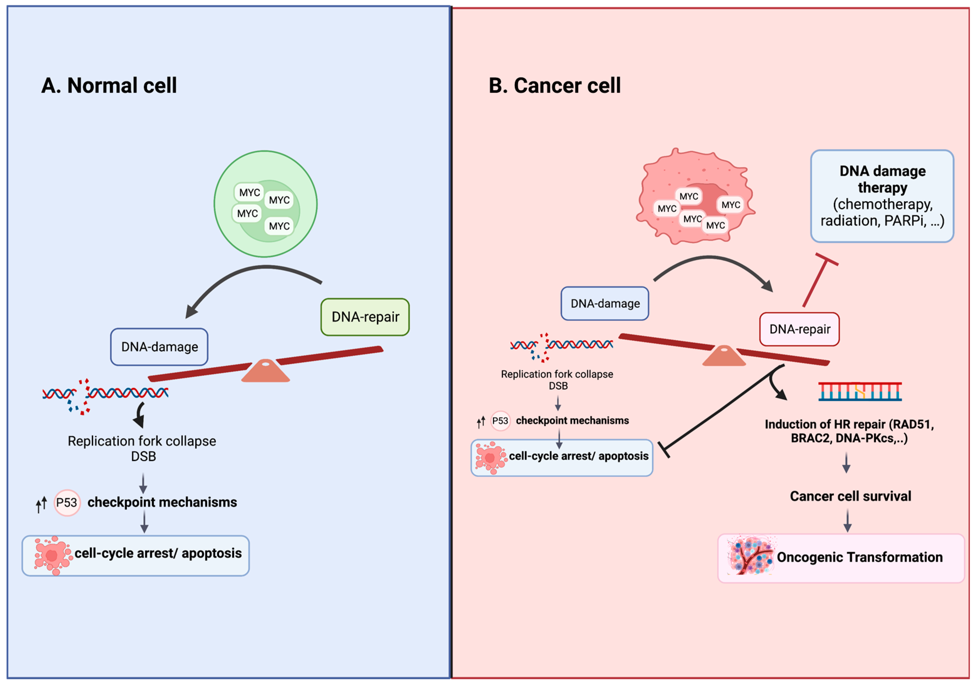 Pathophysiology 30 00031 g001