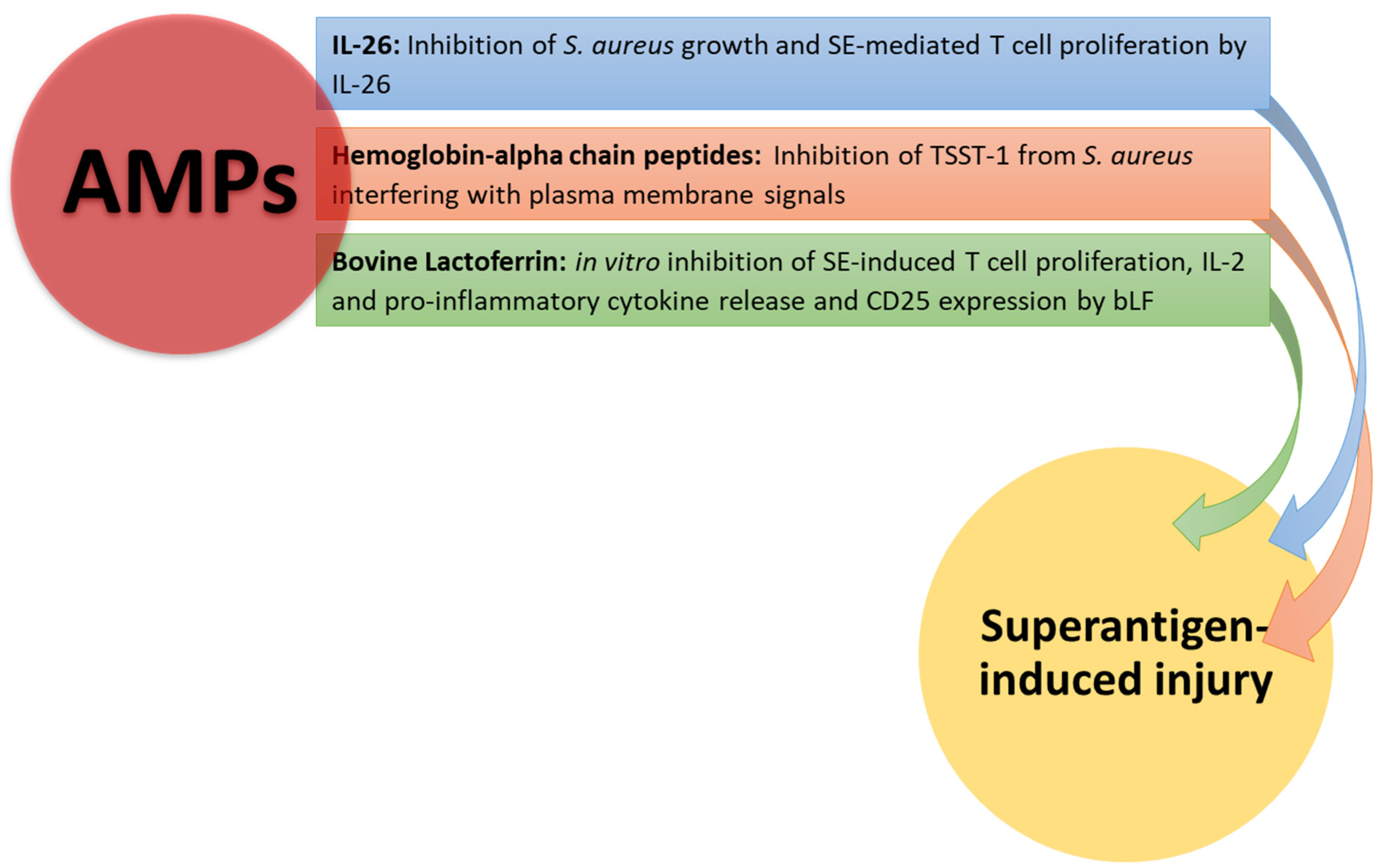 Pathophysiology 31 00002 g003 Pathophysiology 31 00002 g003