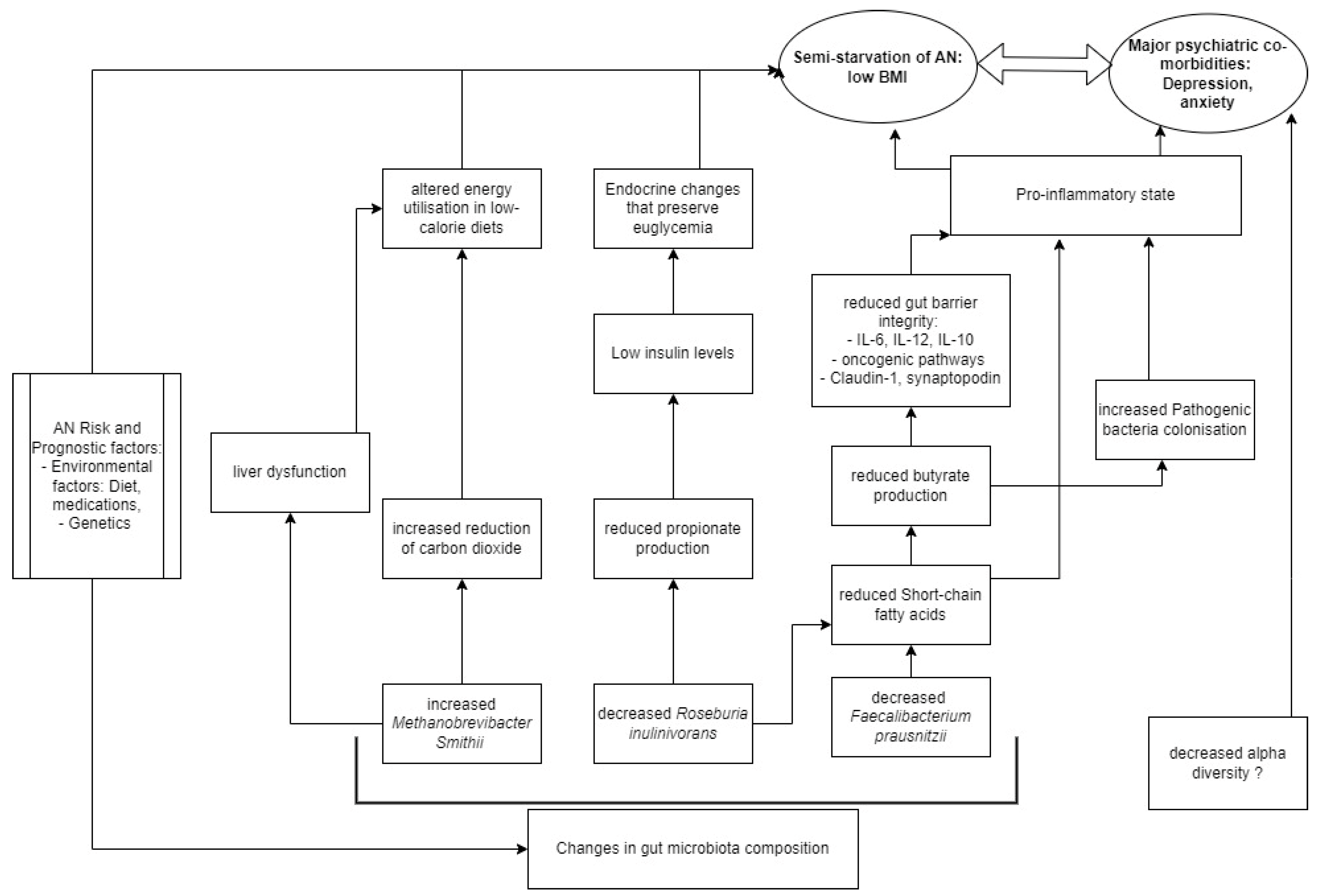 Pathophysiology 31 00006 g002