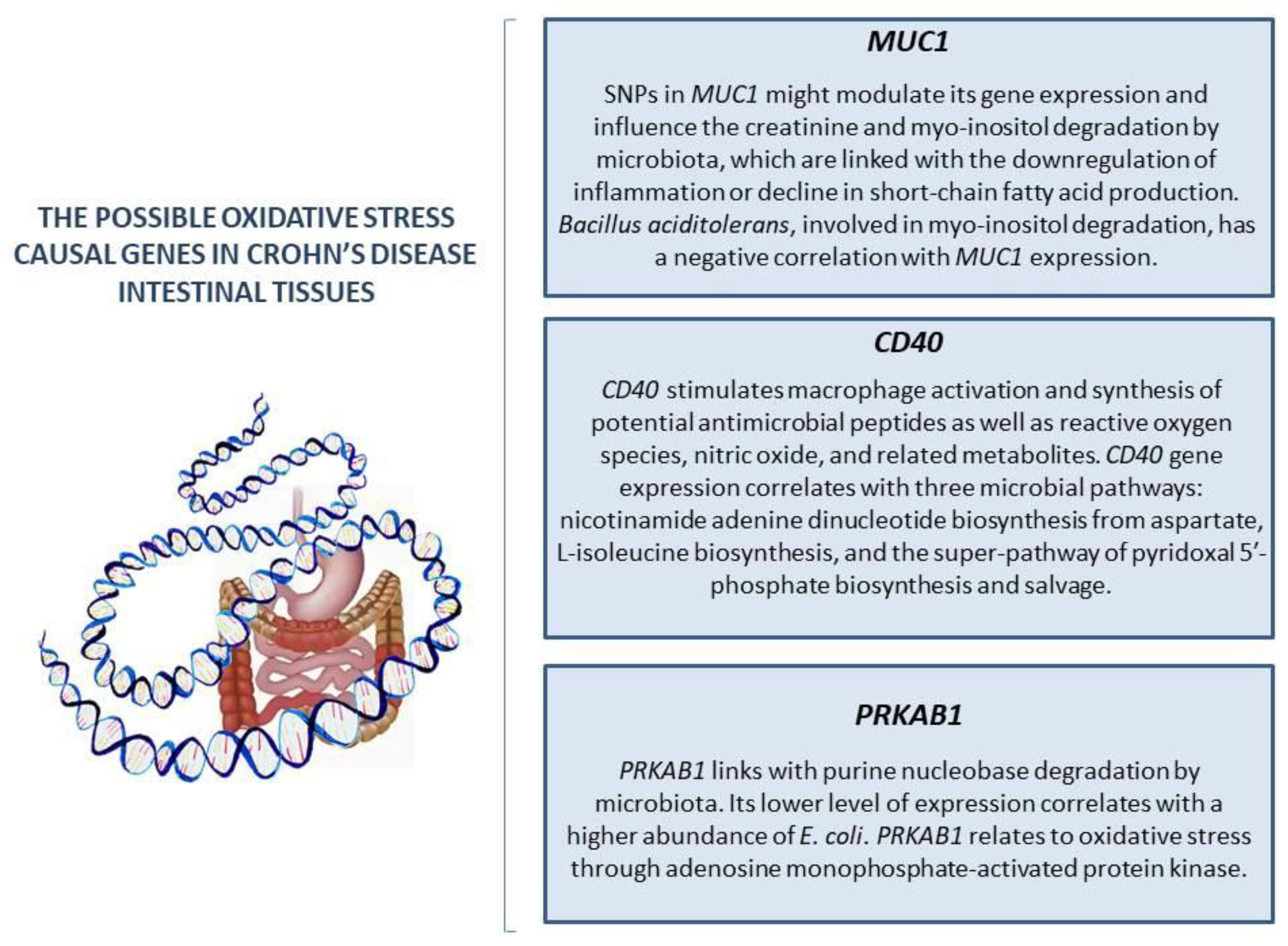 Pathophysiology 31 00023 g001