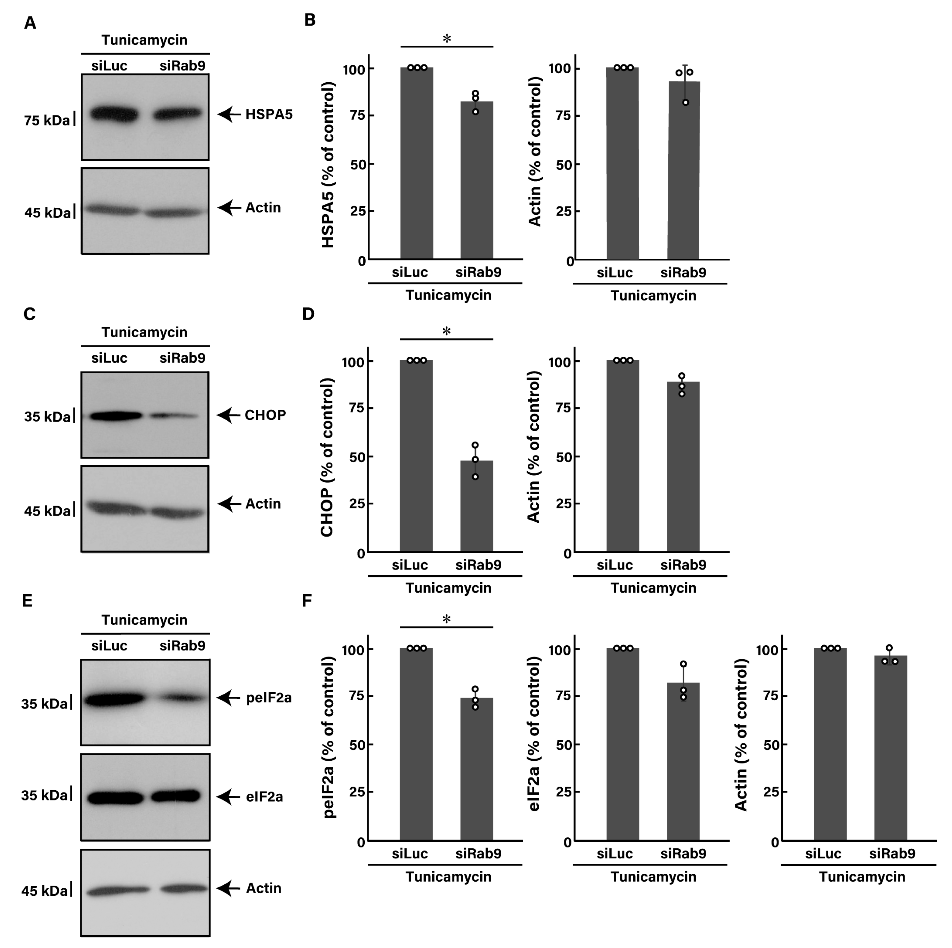 Pathophysiology 31 00032 g003