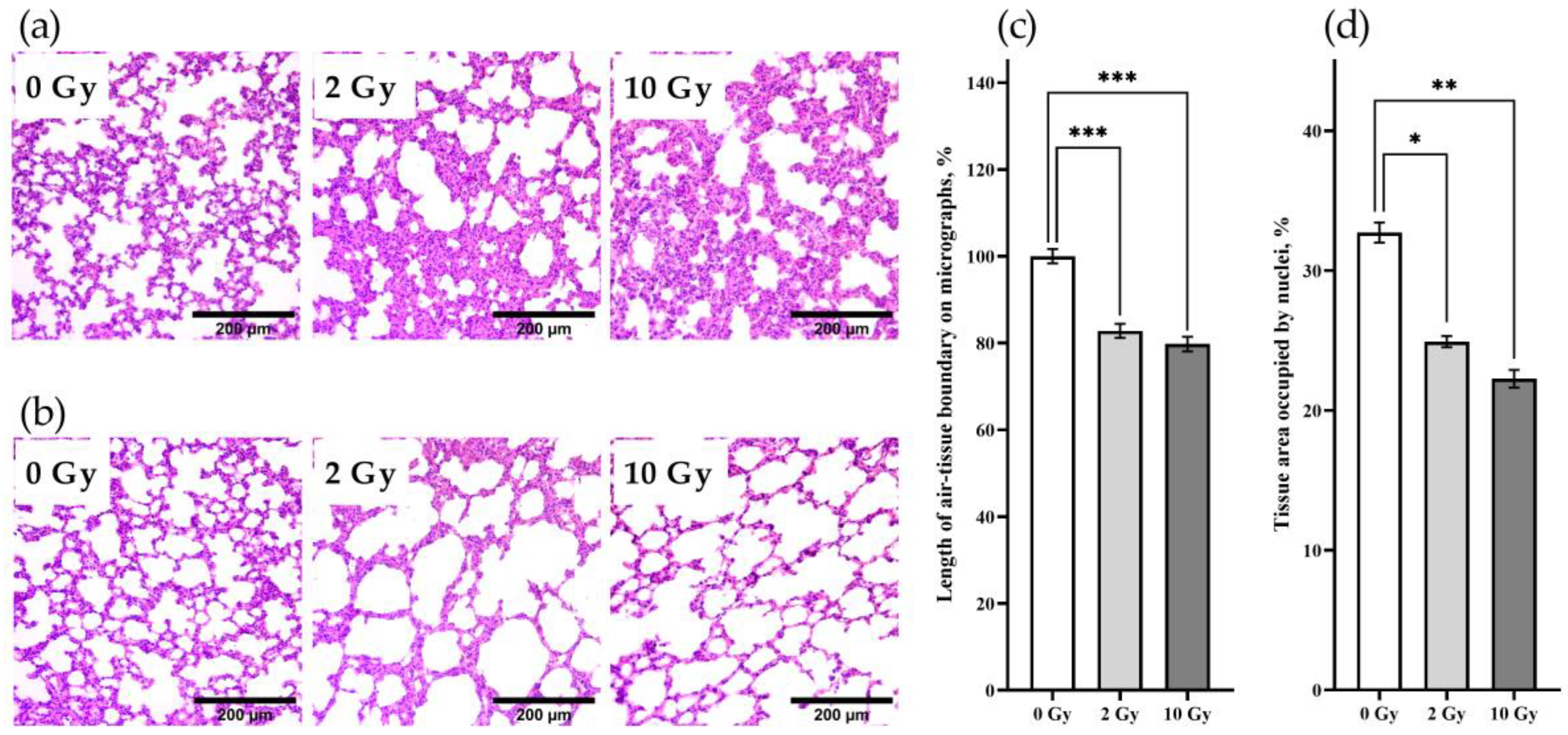 Pathophysiology 31 00039 g002