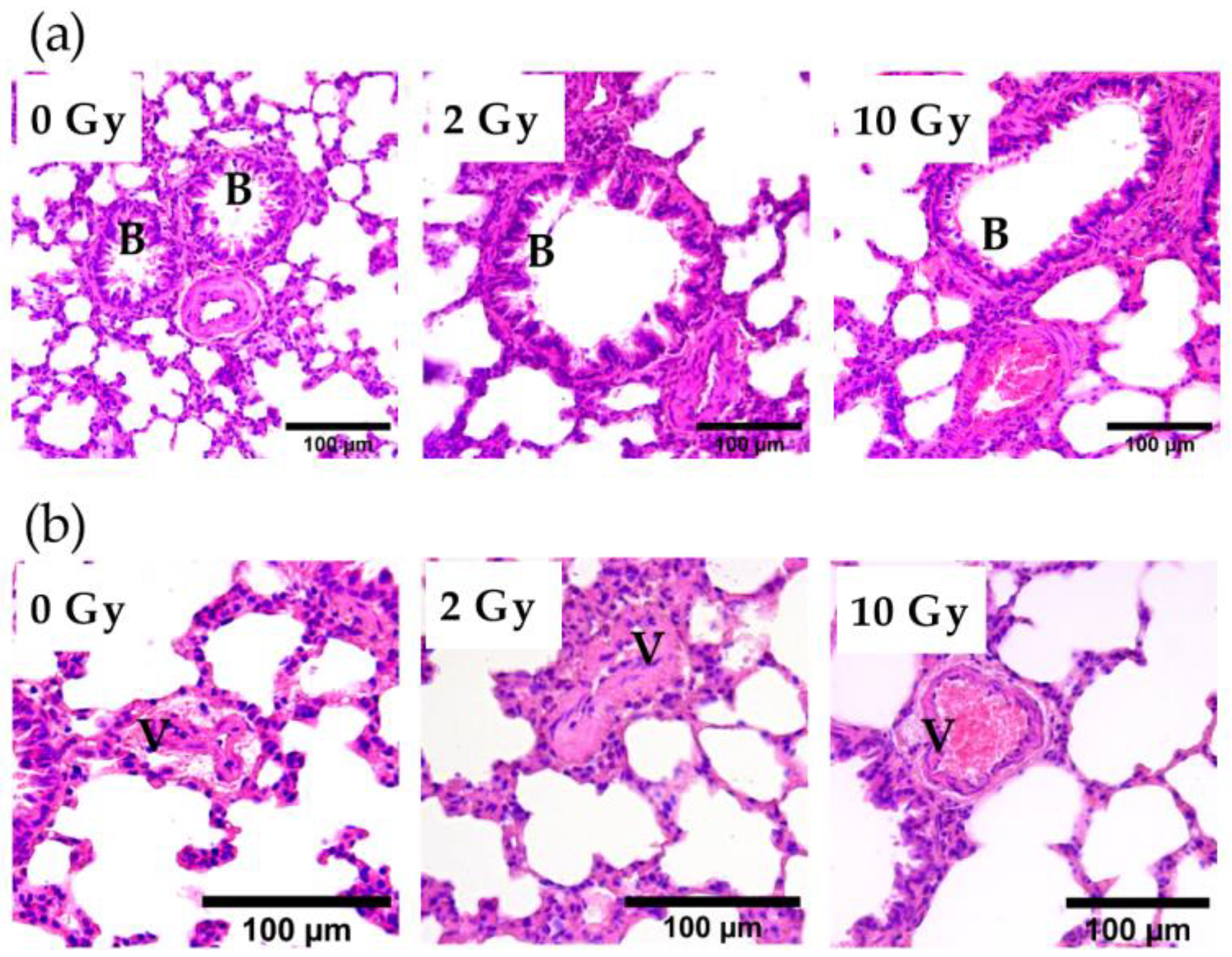 Pathophysiology 31 00039 g003