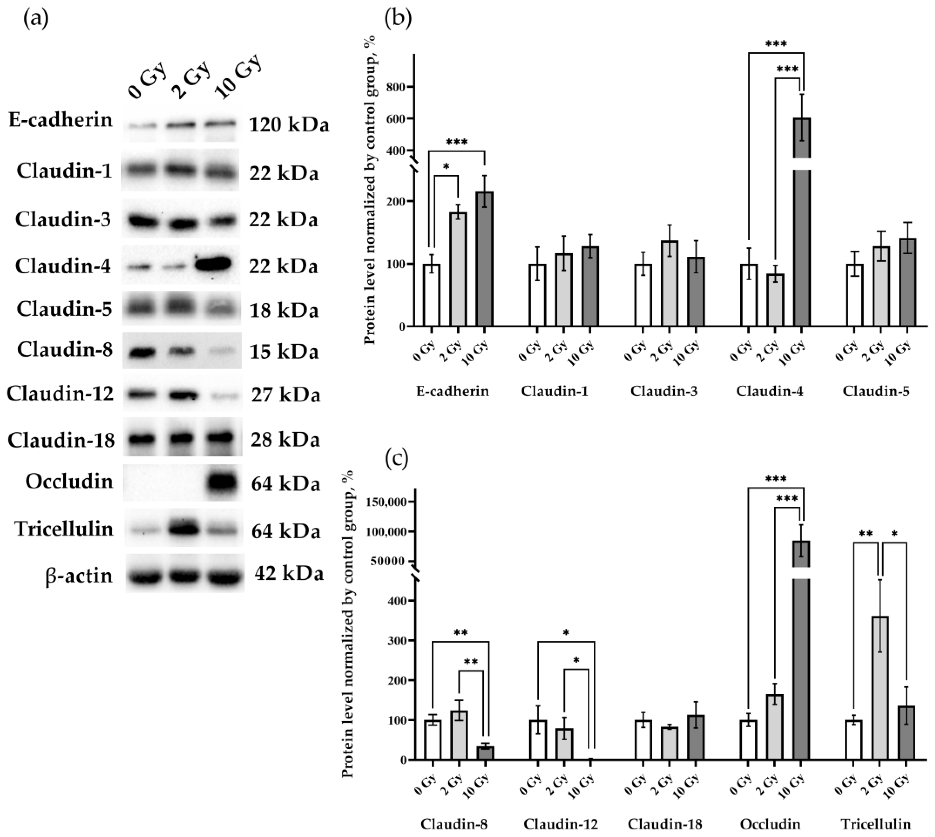 Pathophysiology 31 00039 g004