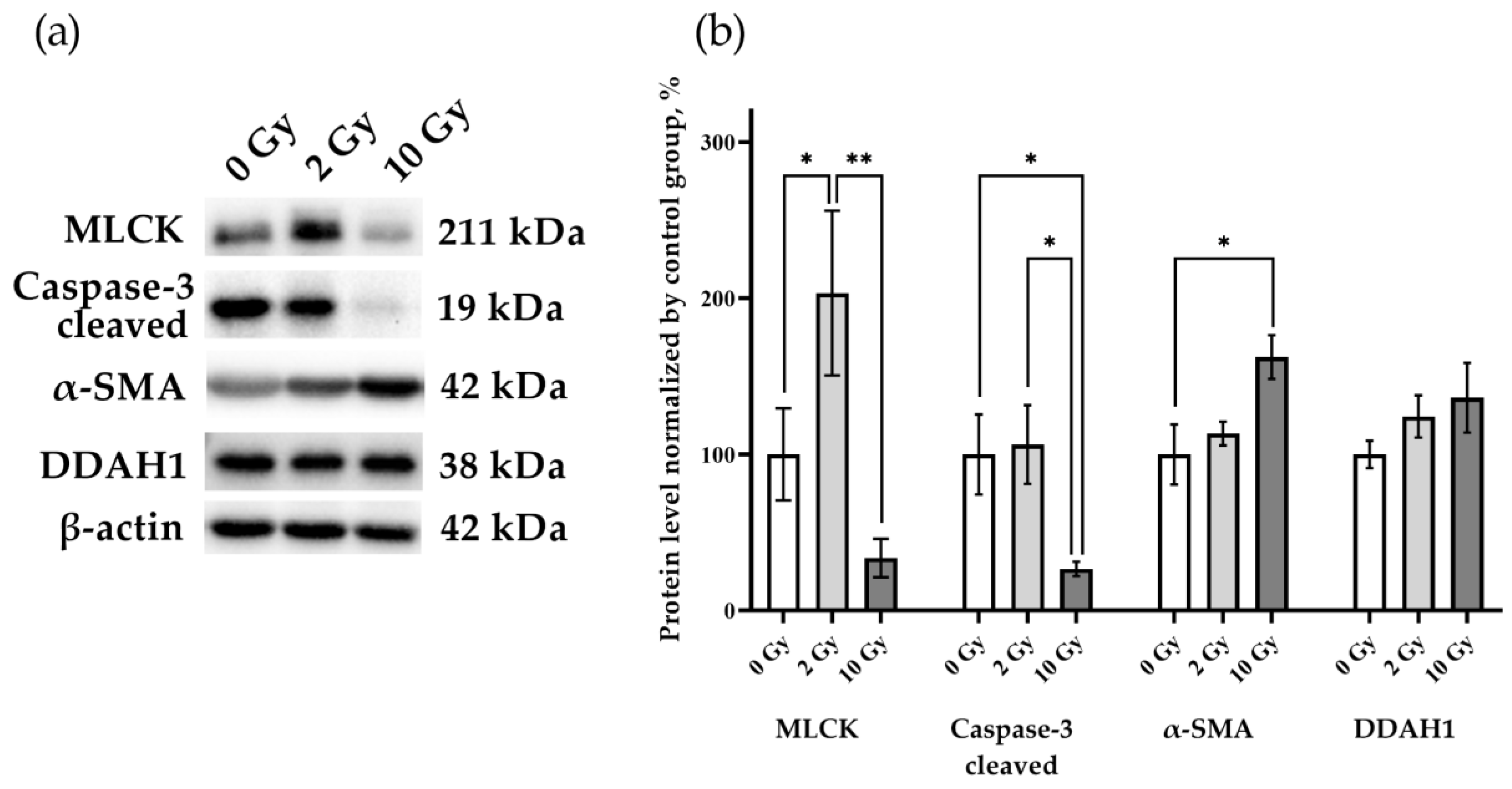 Pathophysiology 31 00039 g005