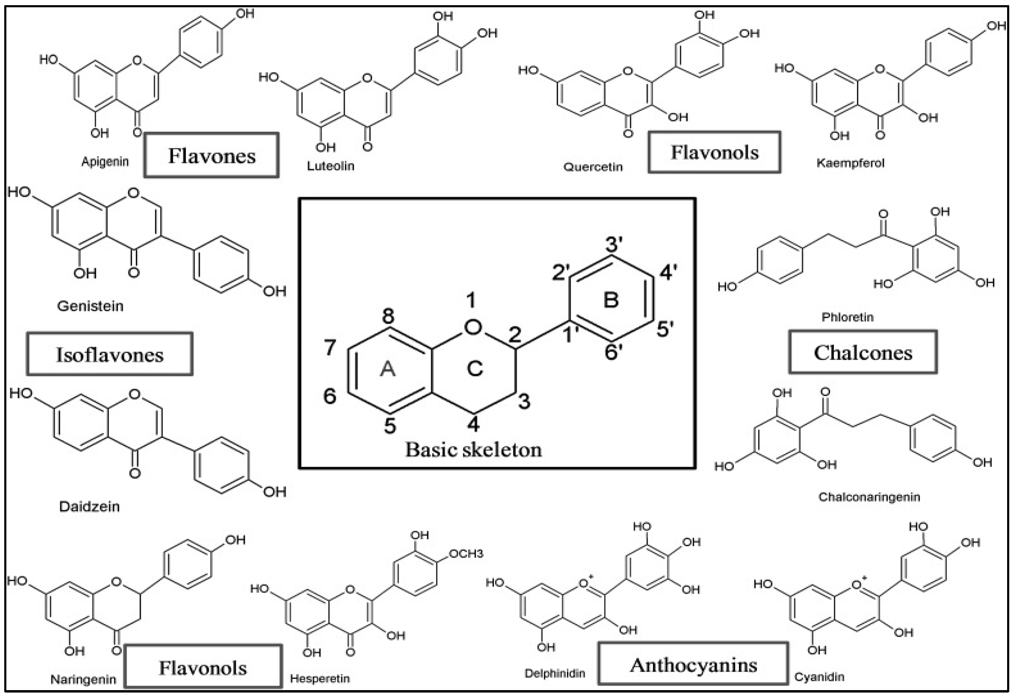 Pathophysiology 31 00043 g001