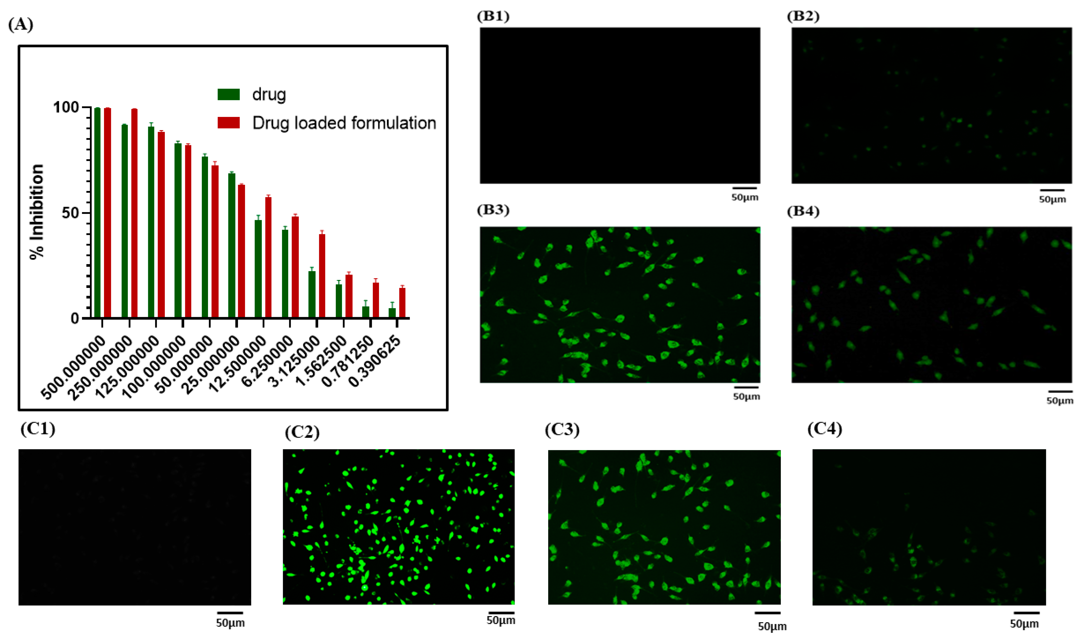 Pathophysiology 31 00049 g003