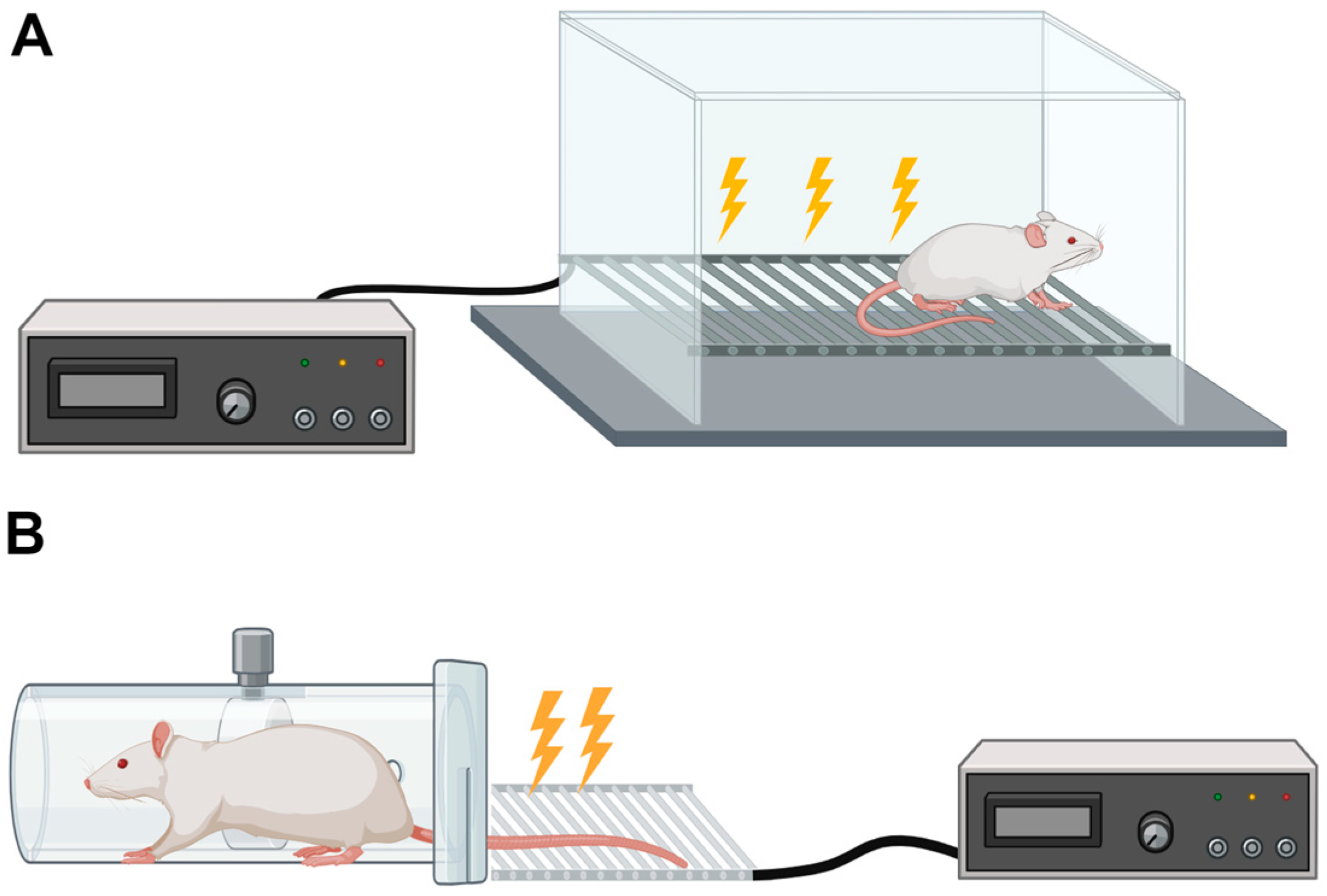 Pathophysiology 31 00051 g001 Pathophysiology 31 00051 g001