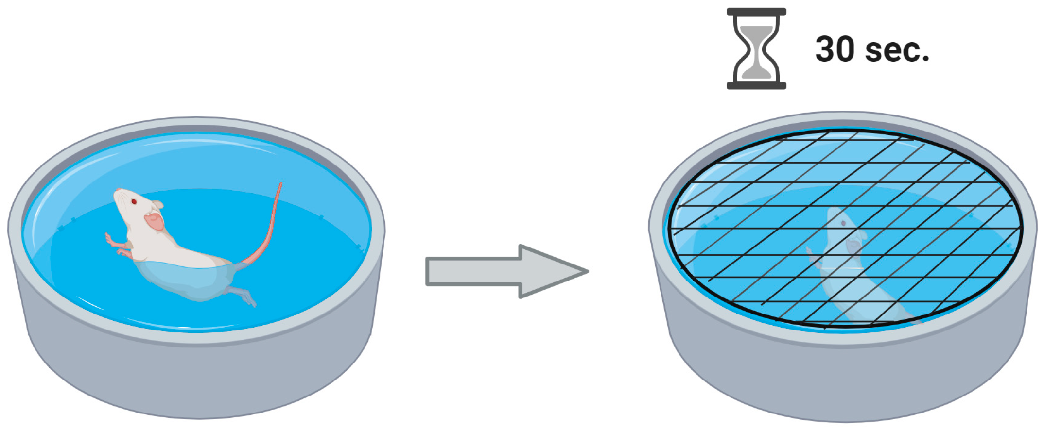 Pathophysiology 31 00051 g003 Pathophysiology 31 00051 g003