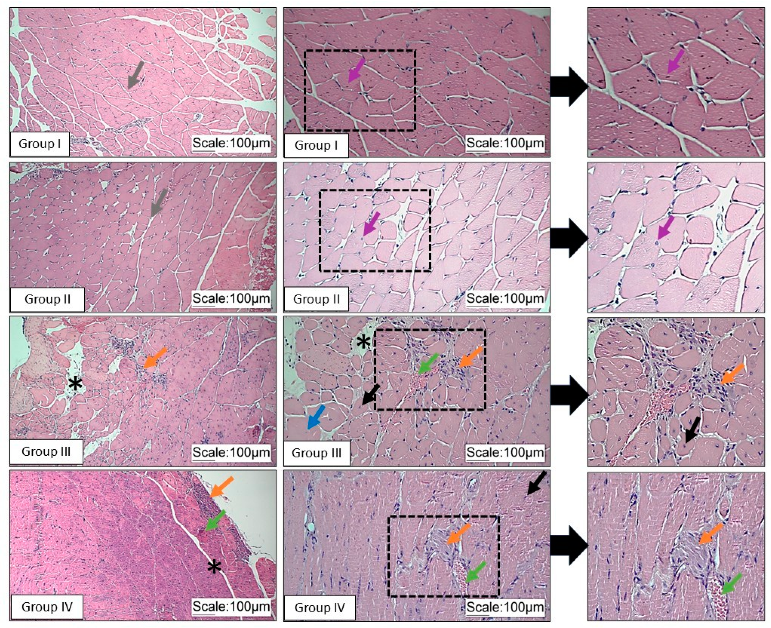 Pathophysiology 32 00002 g002