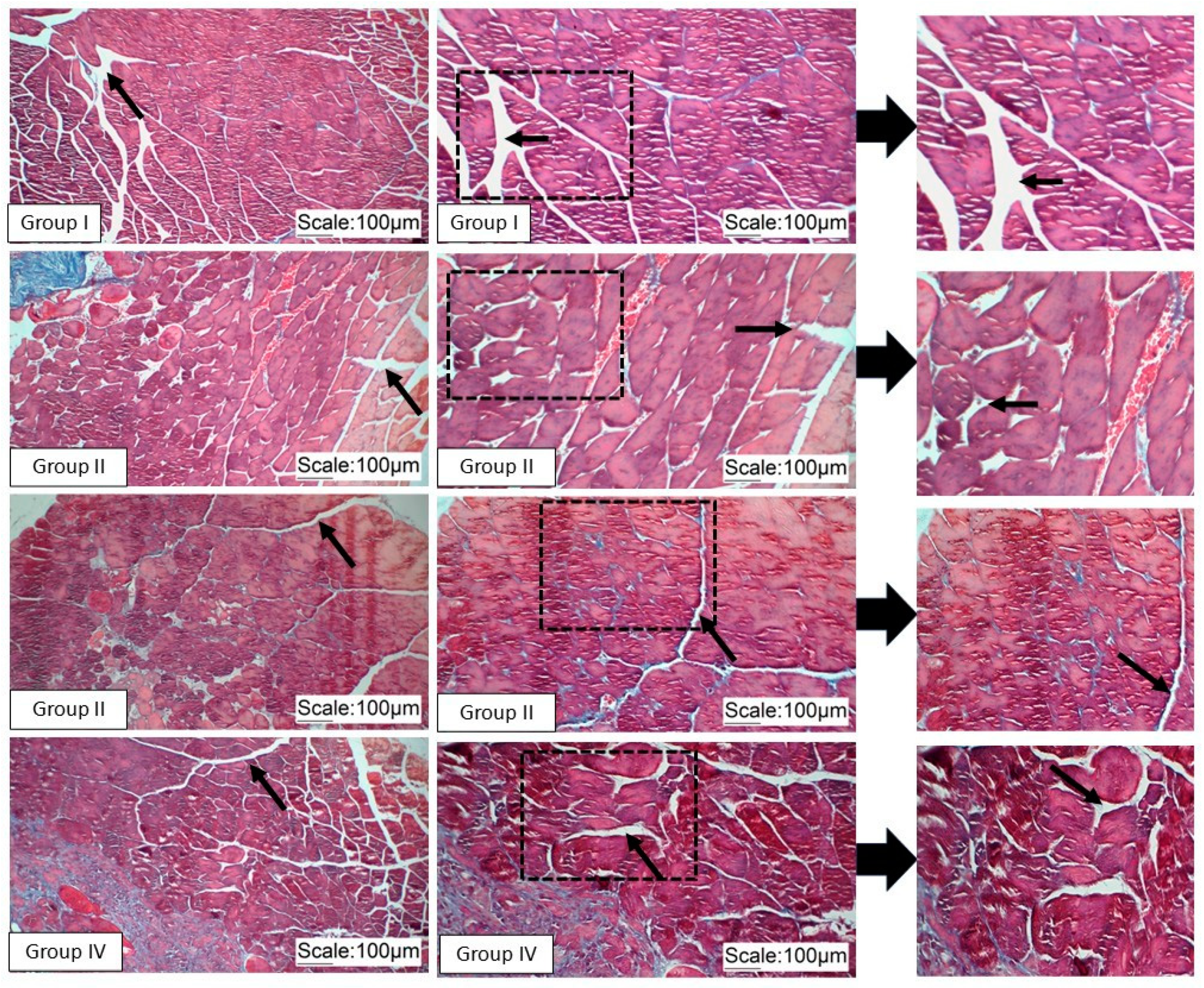 Pathophysiology 32 00002 g004