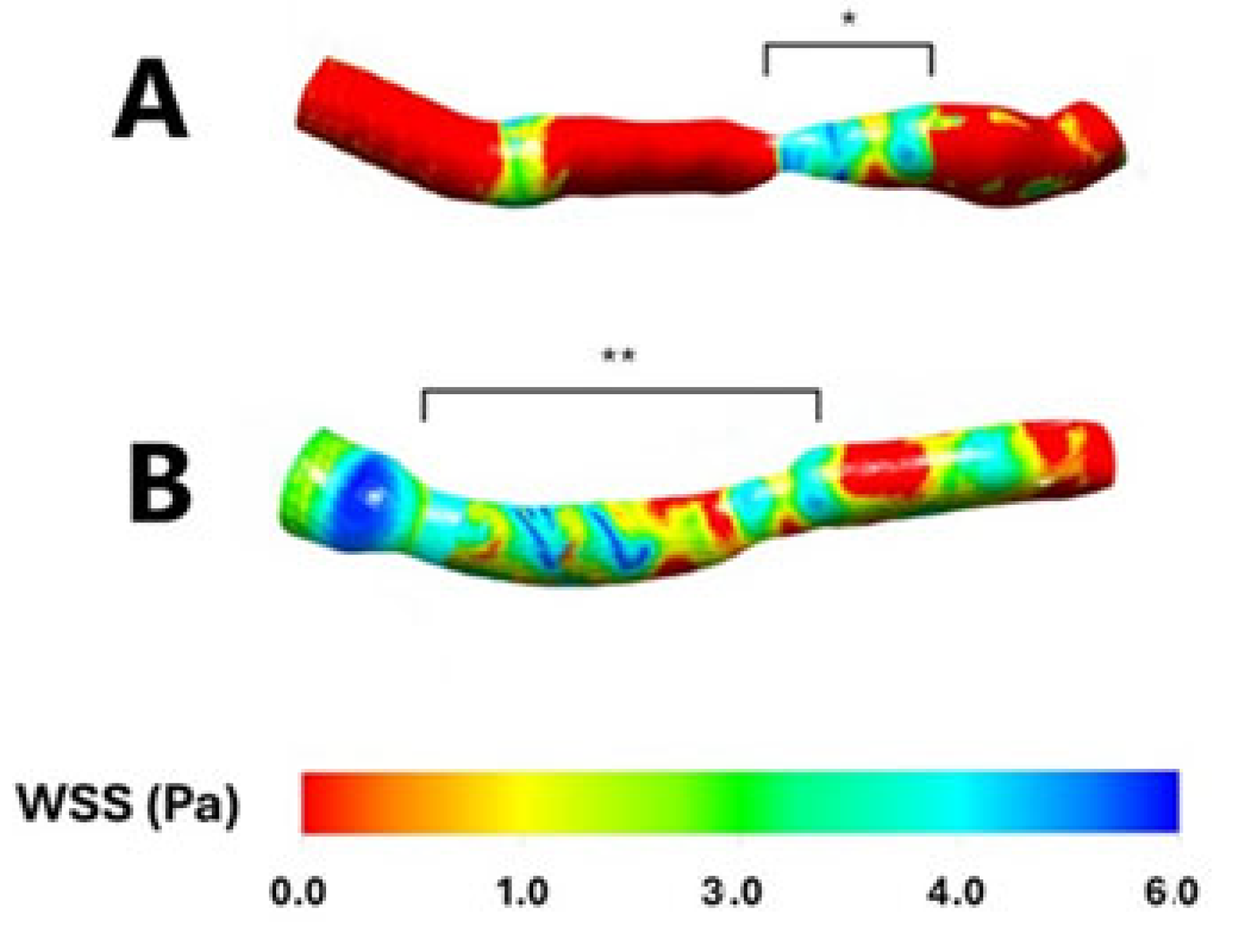 Pathophysiology 32 00028 g001